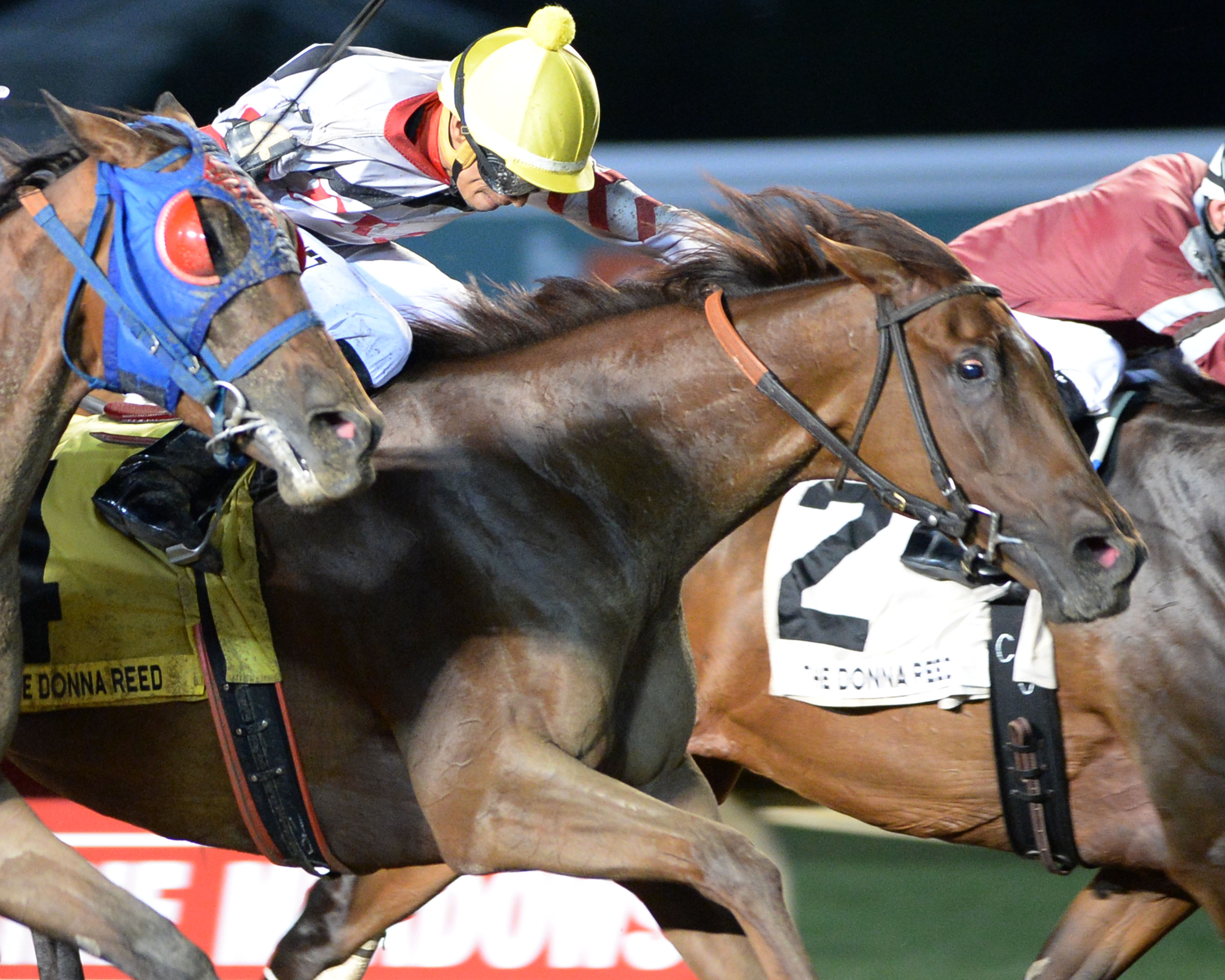 Rallydownthealley wins 2015 Donna Reed
