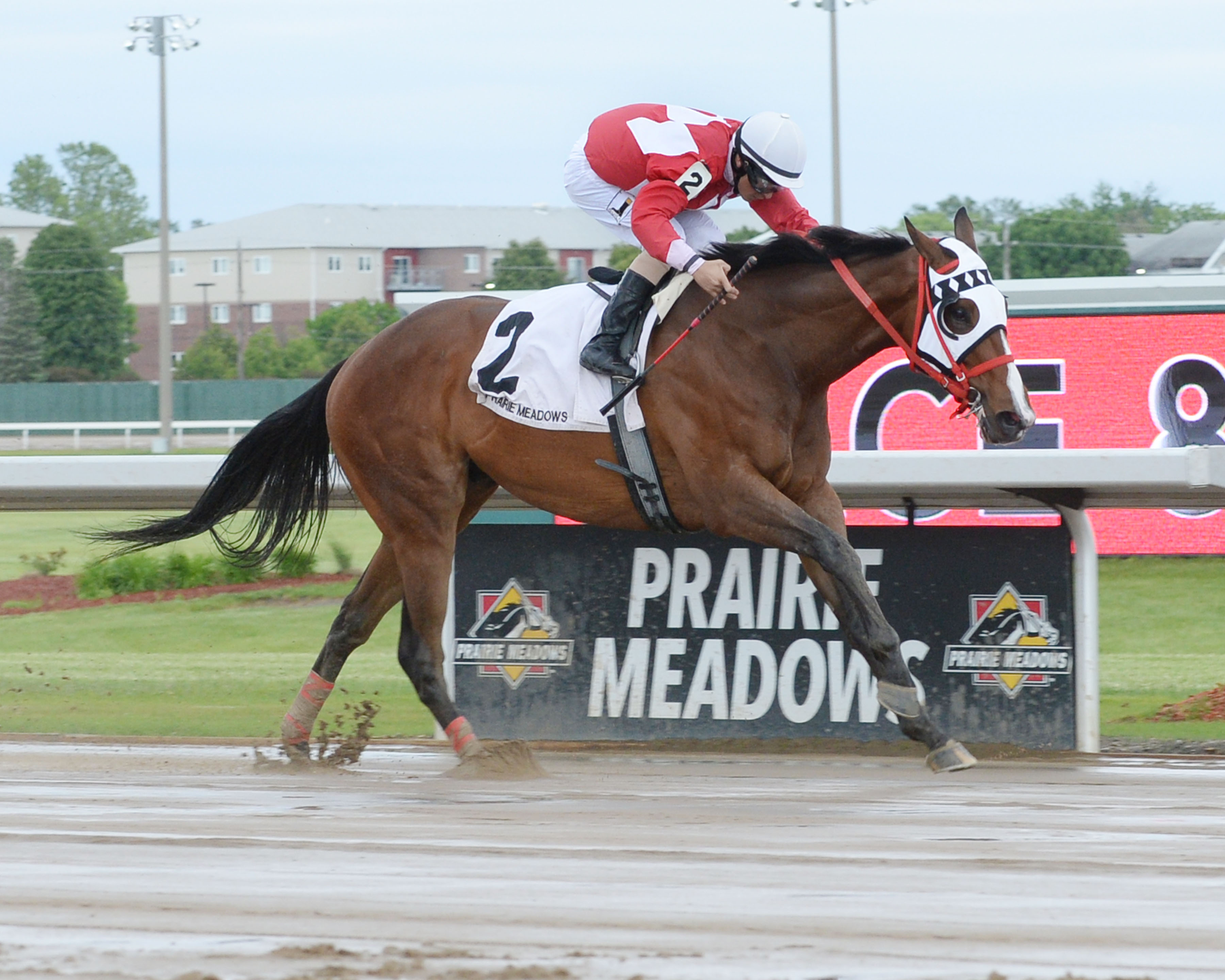 Wings Locked Up