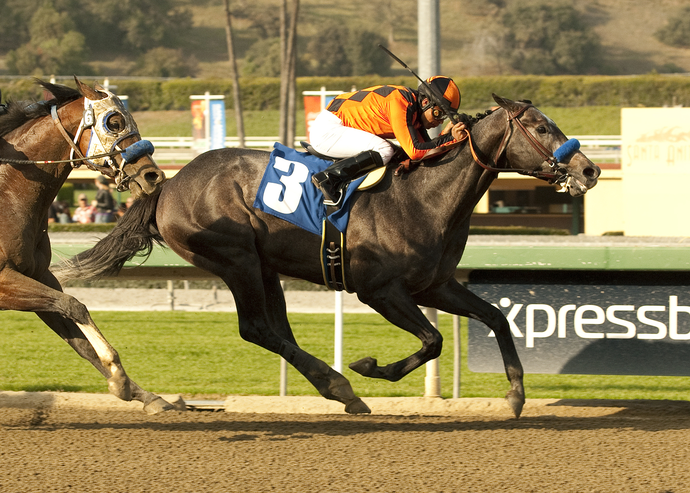 The Factor/San Carlos