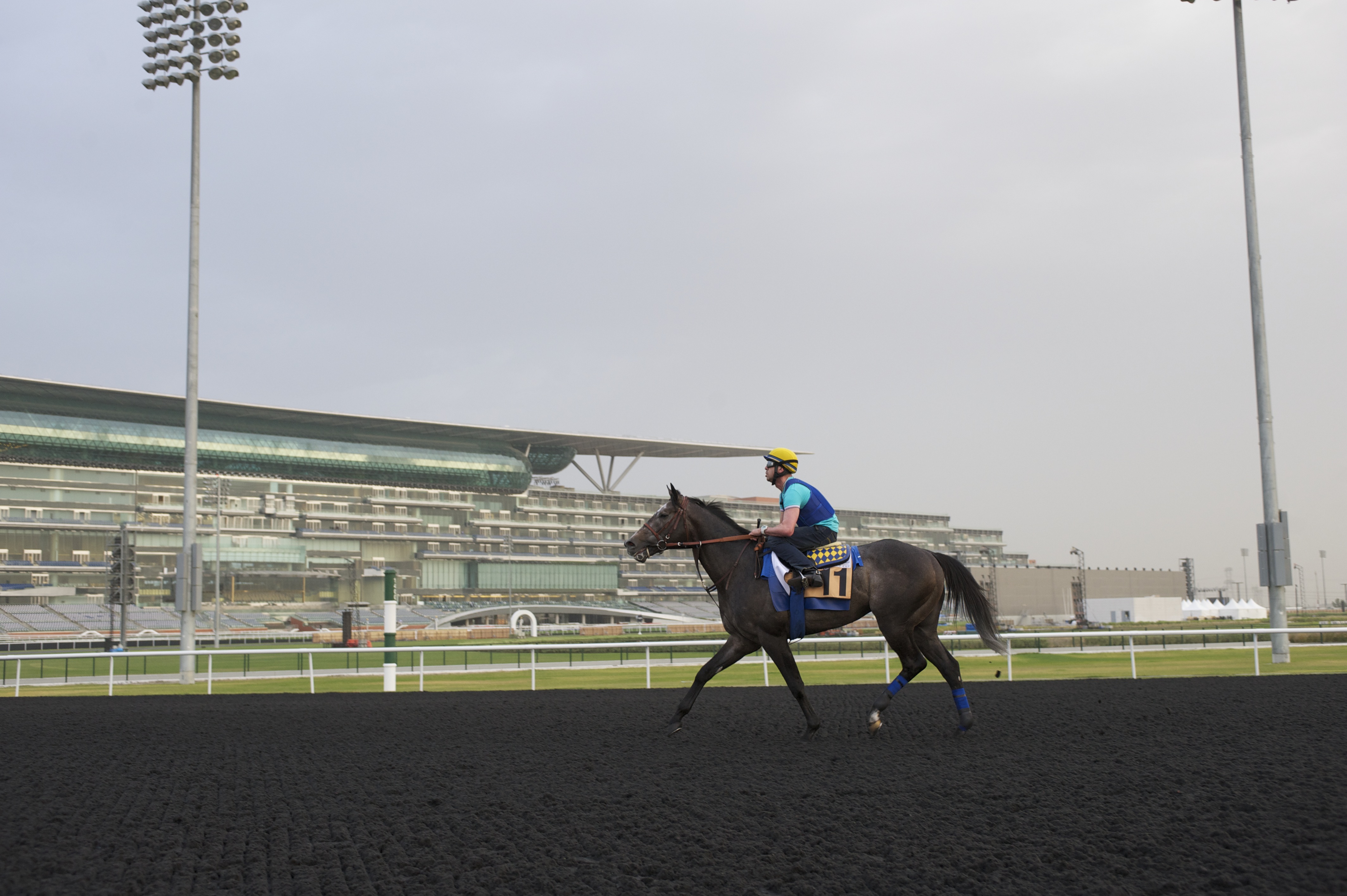 The Factor/Meydan/3-26-12