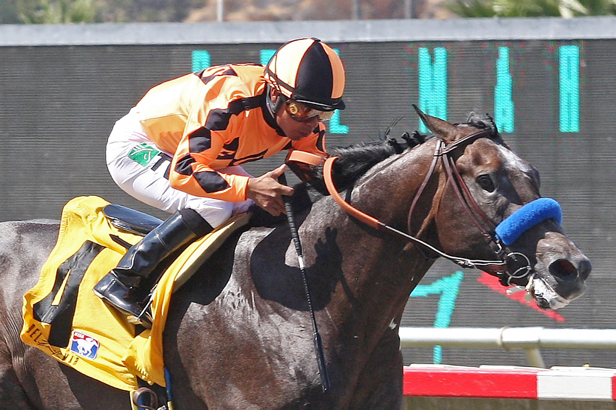 The Factor/Pat O'Brien