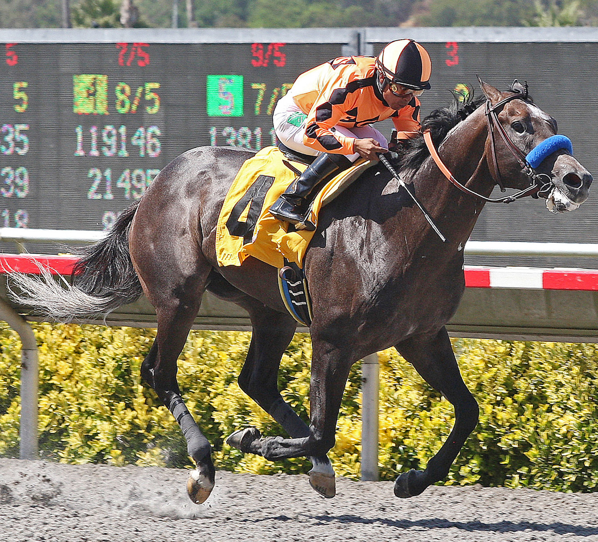 The Factor/Pat O'Brien