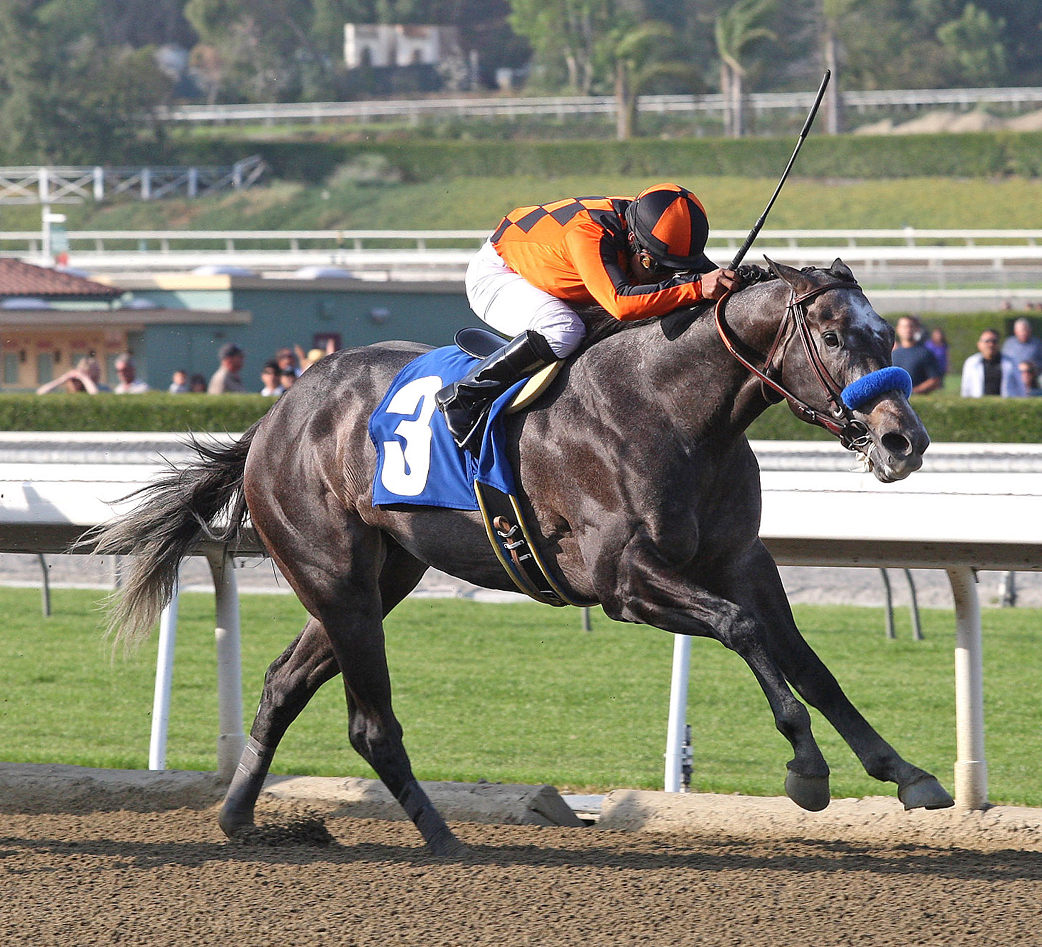The Factor, 2012 San Carlos