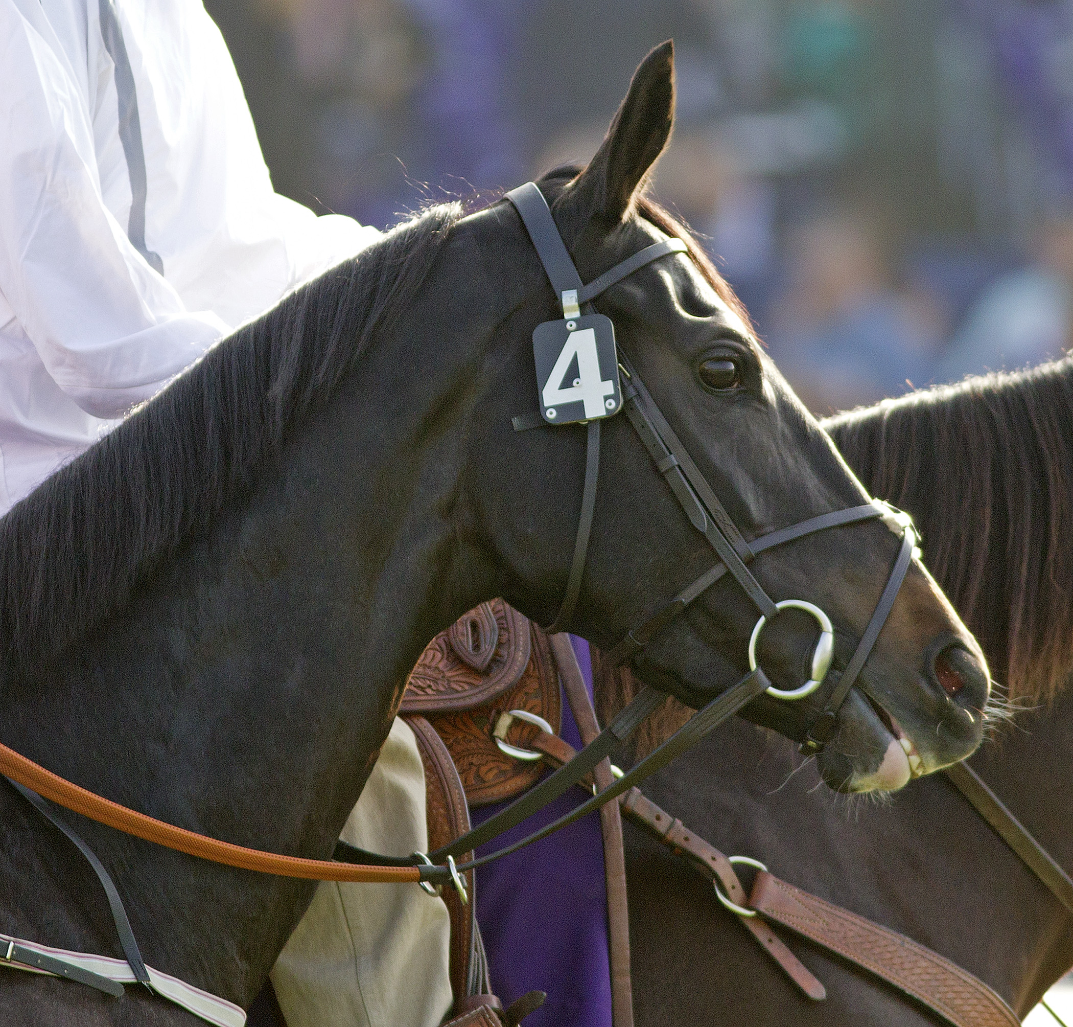The Fugue