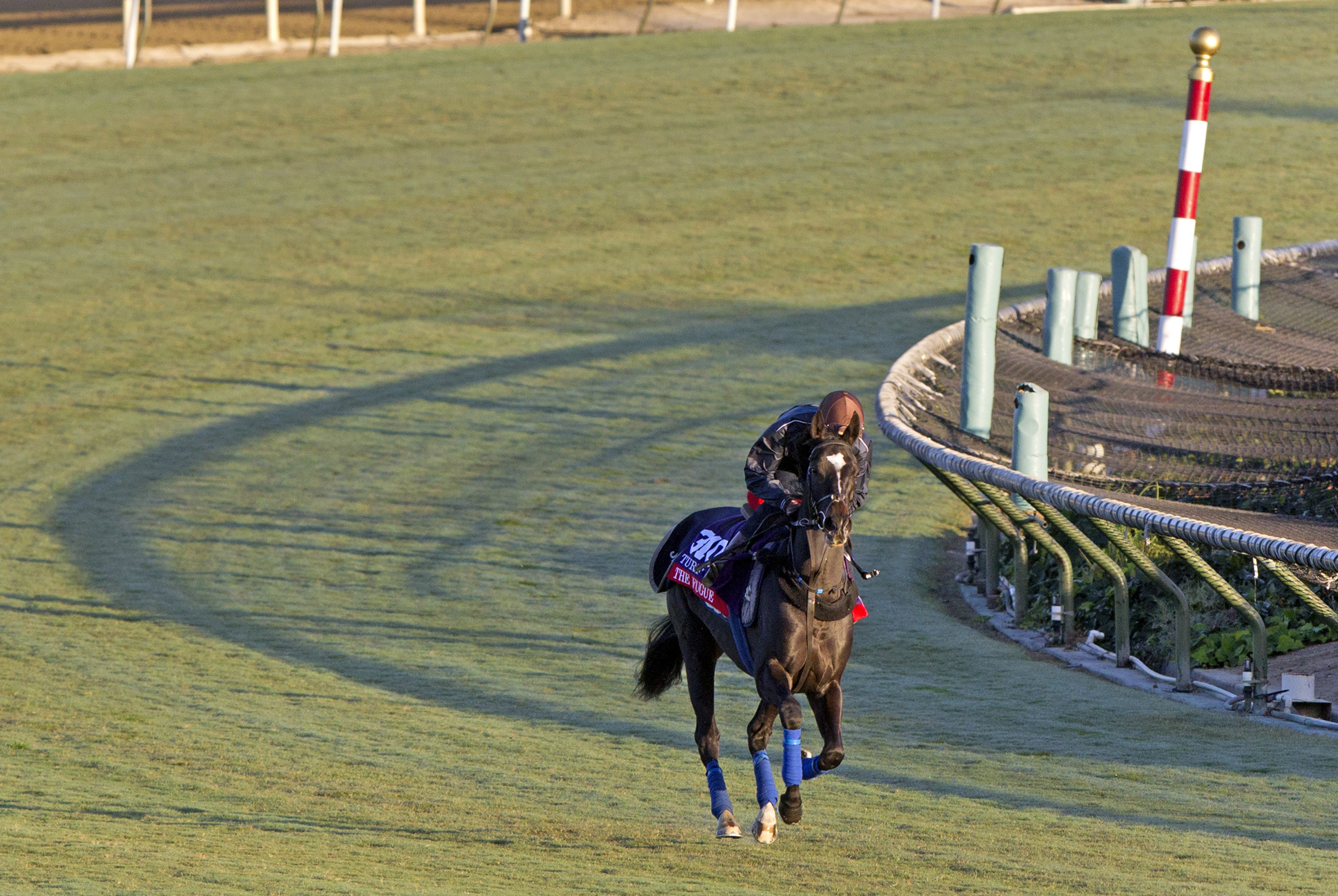 The Fugue trains at Santa Anita Park