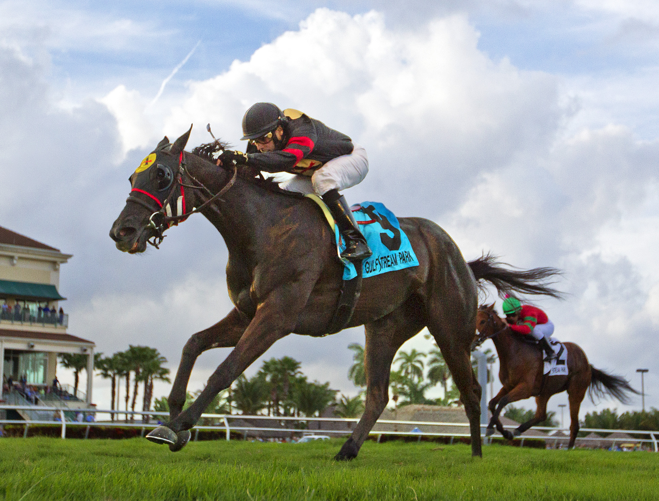 Devine Aide 1-3-2015