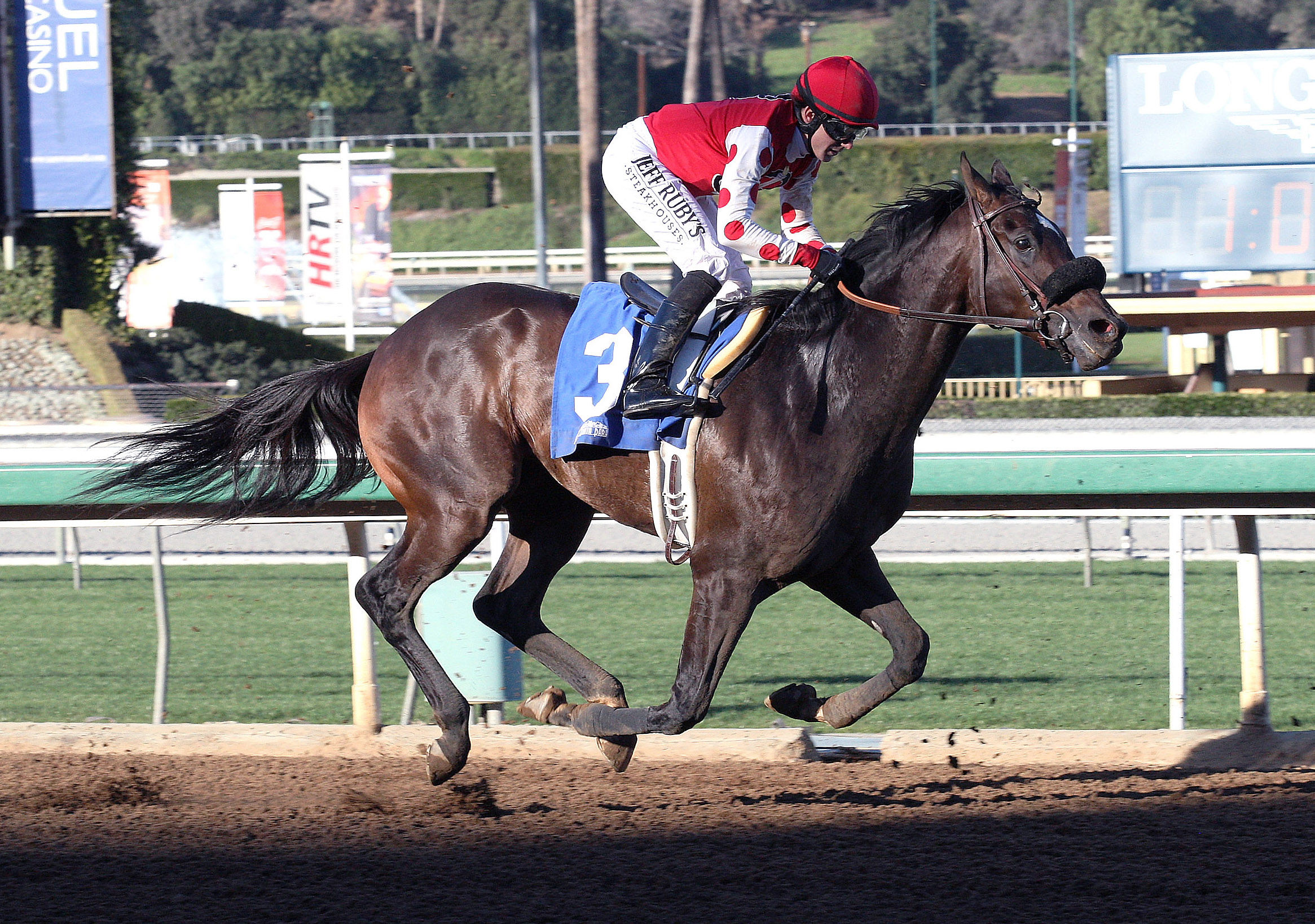 The Gomper finishes second in a claiming race