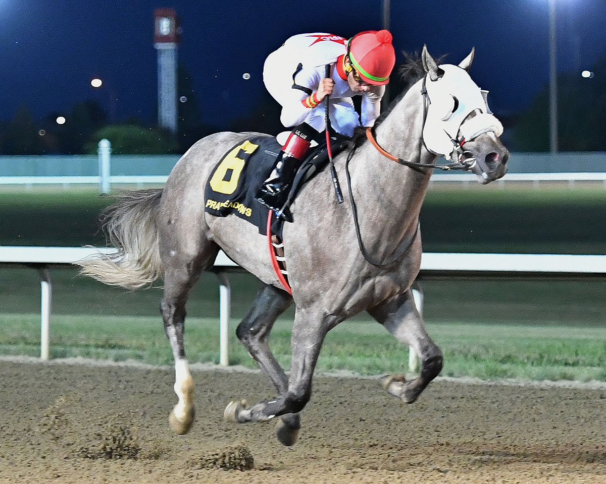 The Gray Dehere wins the 2018 Prairie Gold Juvenile Stakes