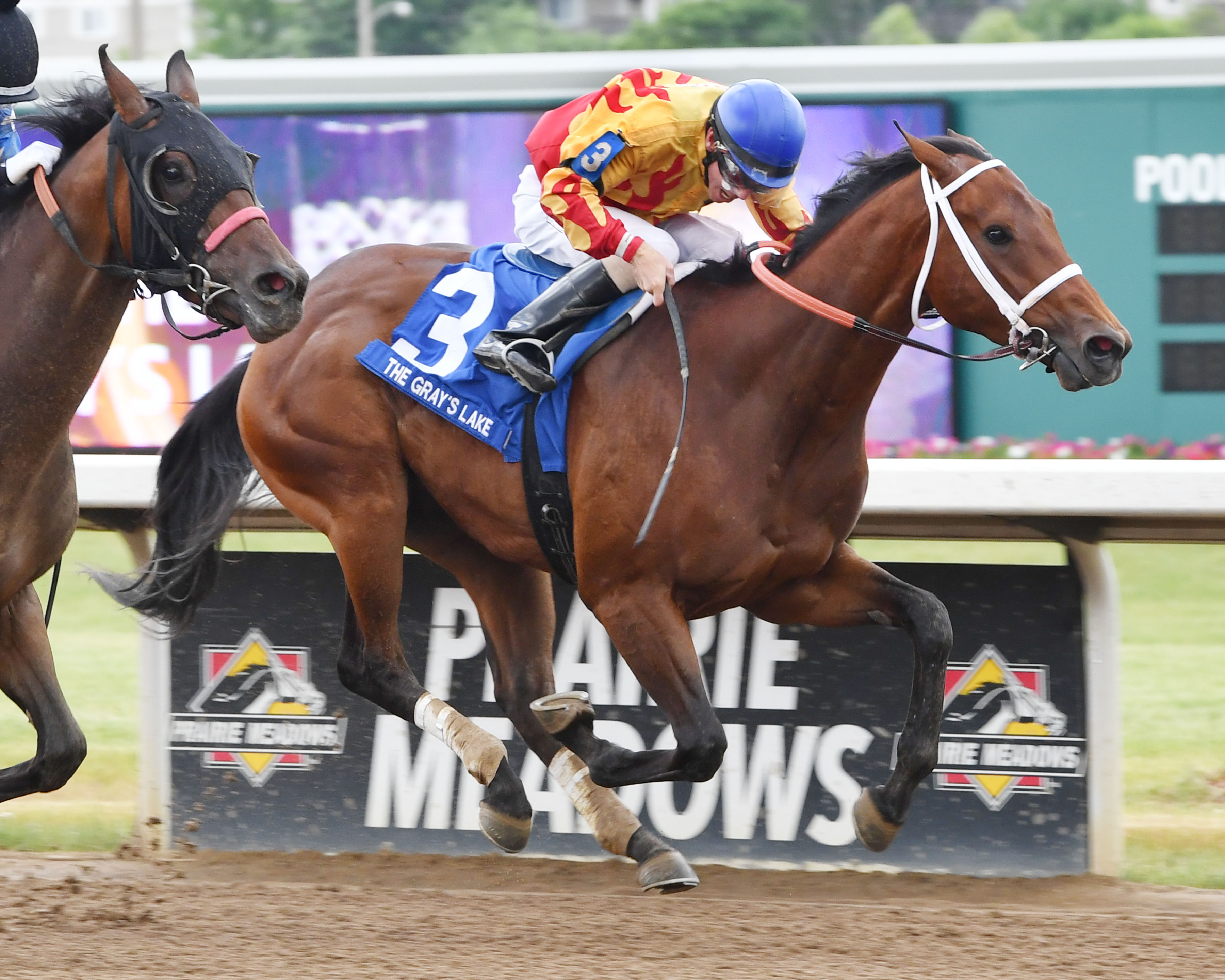 Sure Fire Friend wins 2018 Grays Lake
