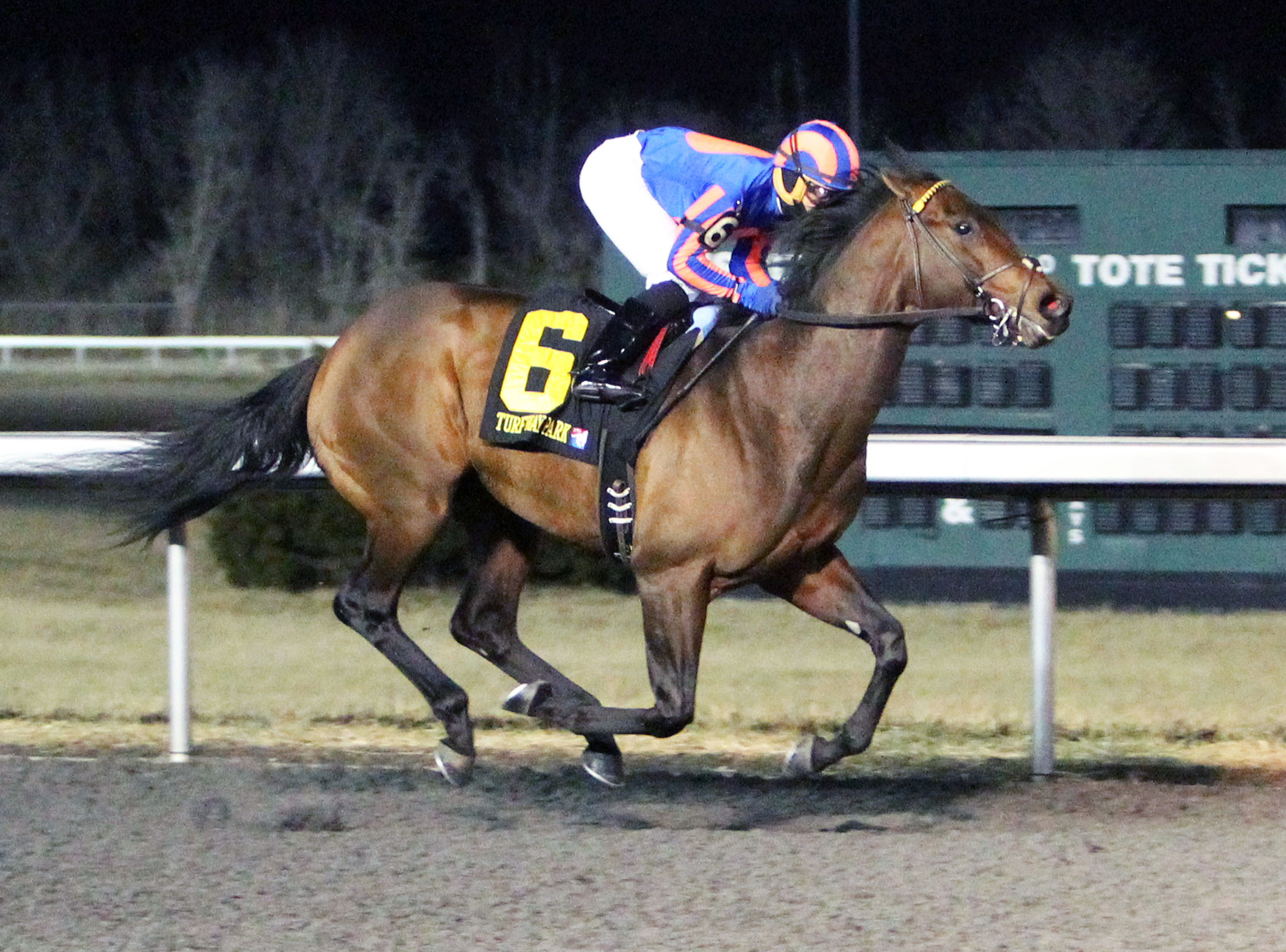 The Great War wins the 96Rocks Stakes