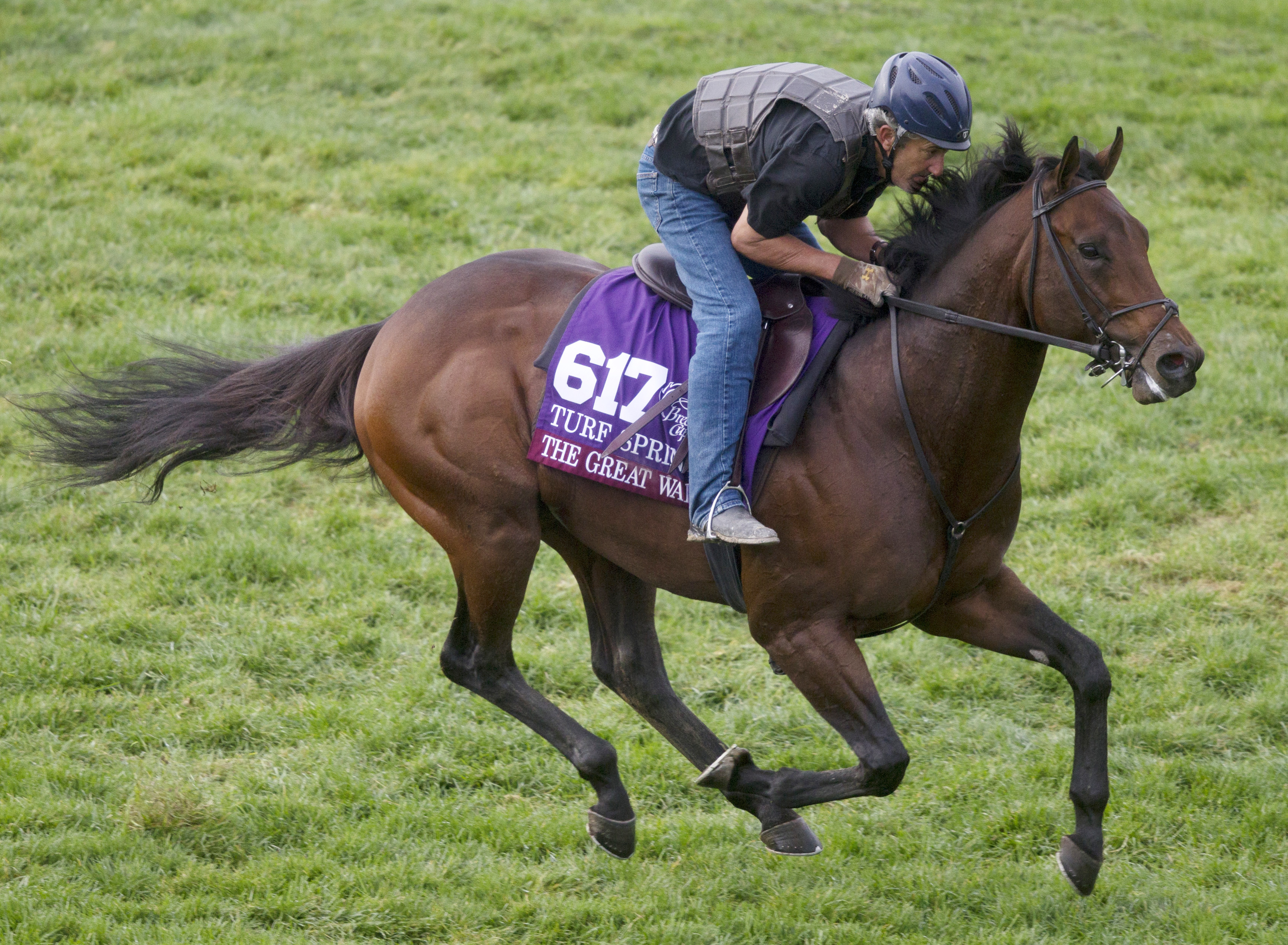 The Great War trains for the 2015 Breeders' Cup