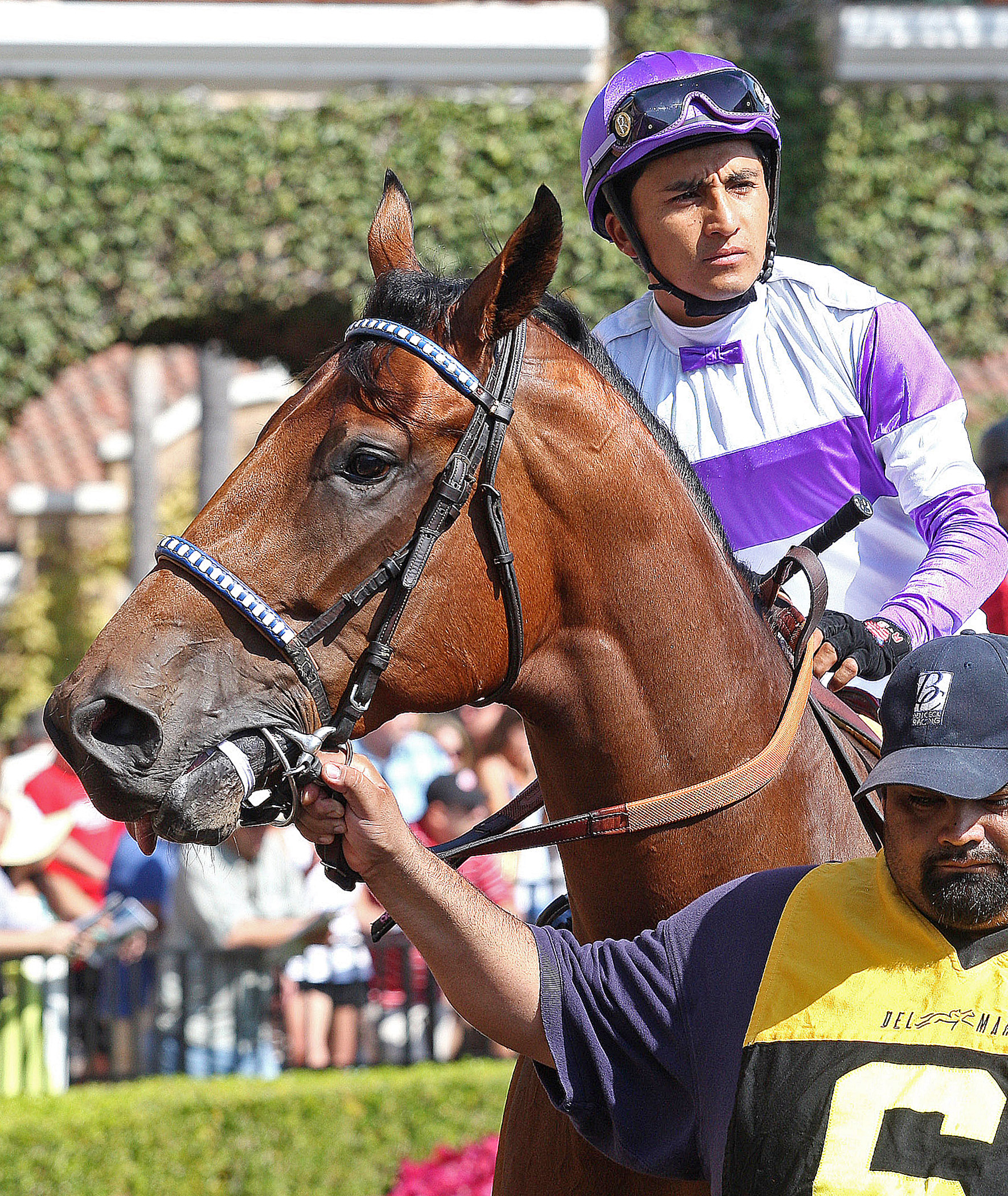The Humancomplaint