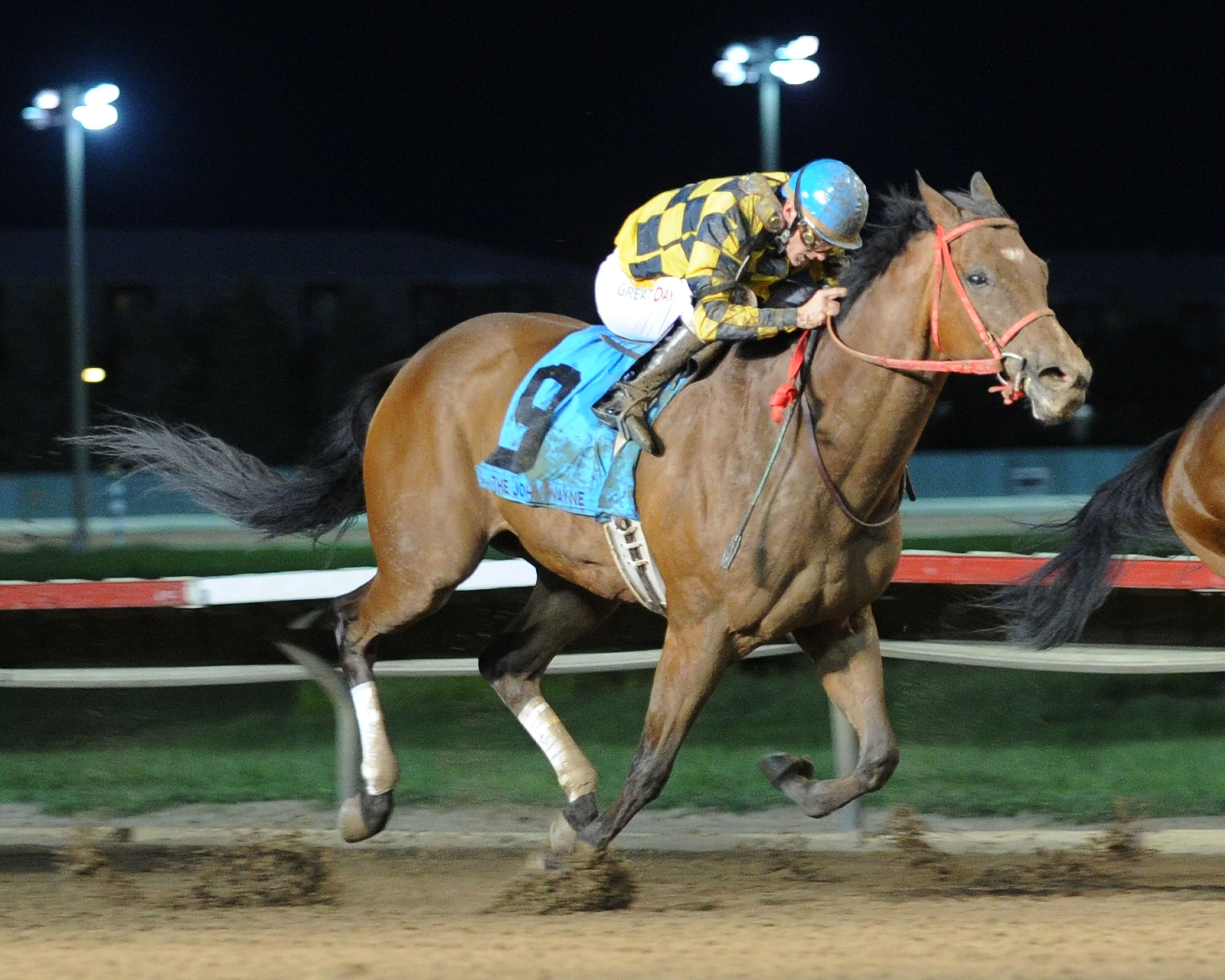 Cainam wins 2015 John Wayne