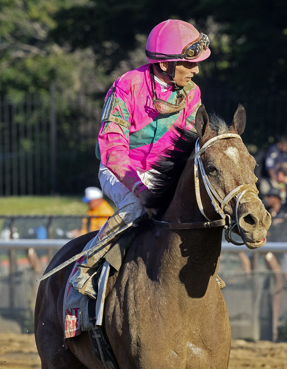The Lieutenant finishes second in the Suburban