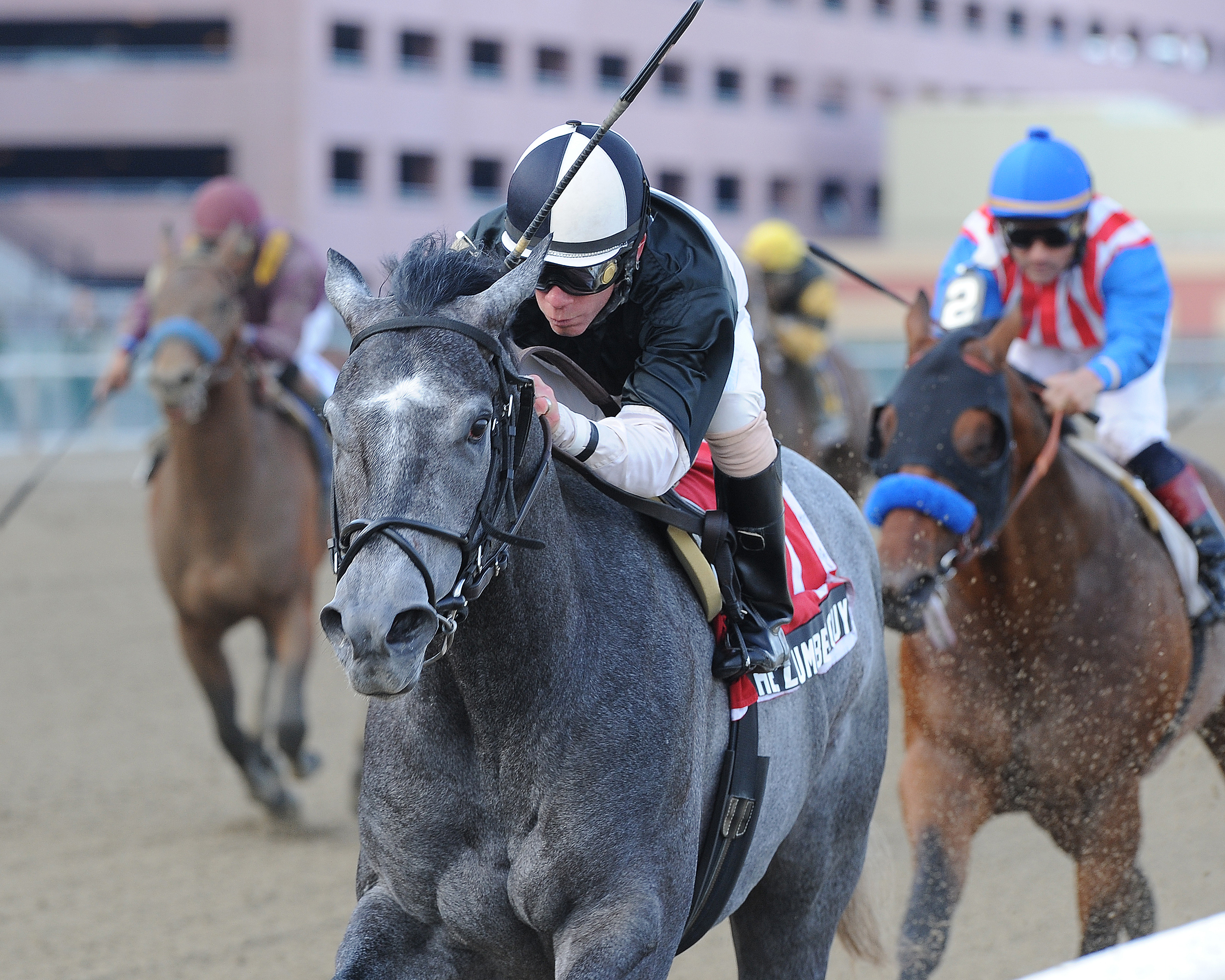 Belmont Park: The Lumber Guy opts for one-turn Peter Pan Stakes