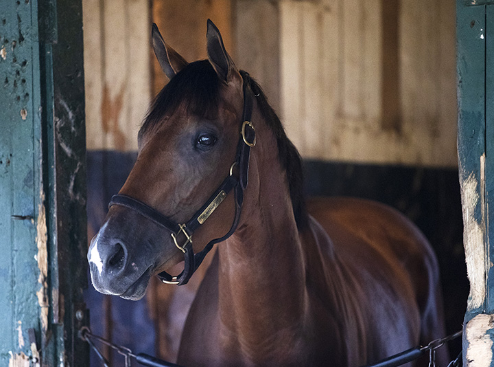 The Mackem Bullet at Saratoga Race Course on July 17