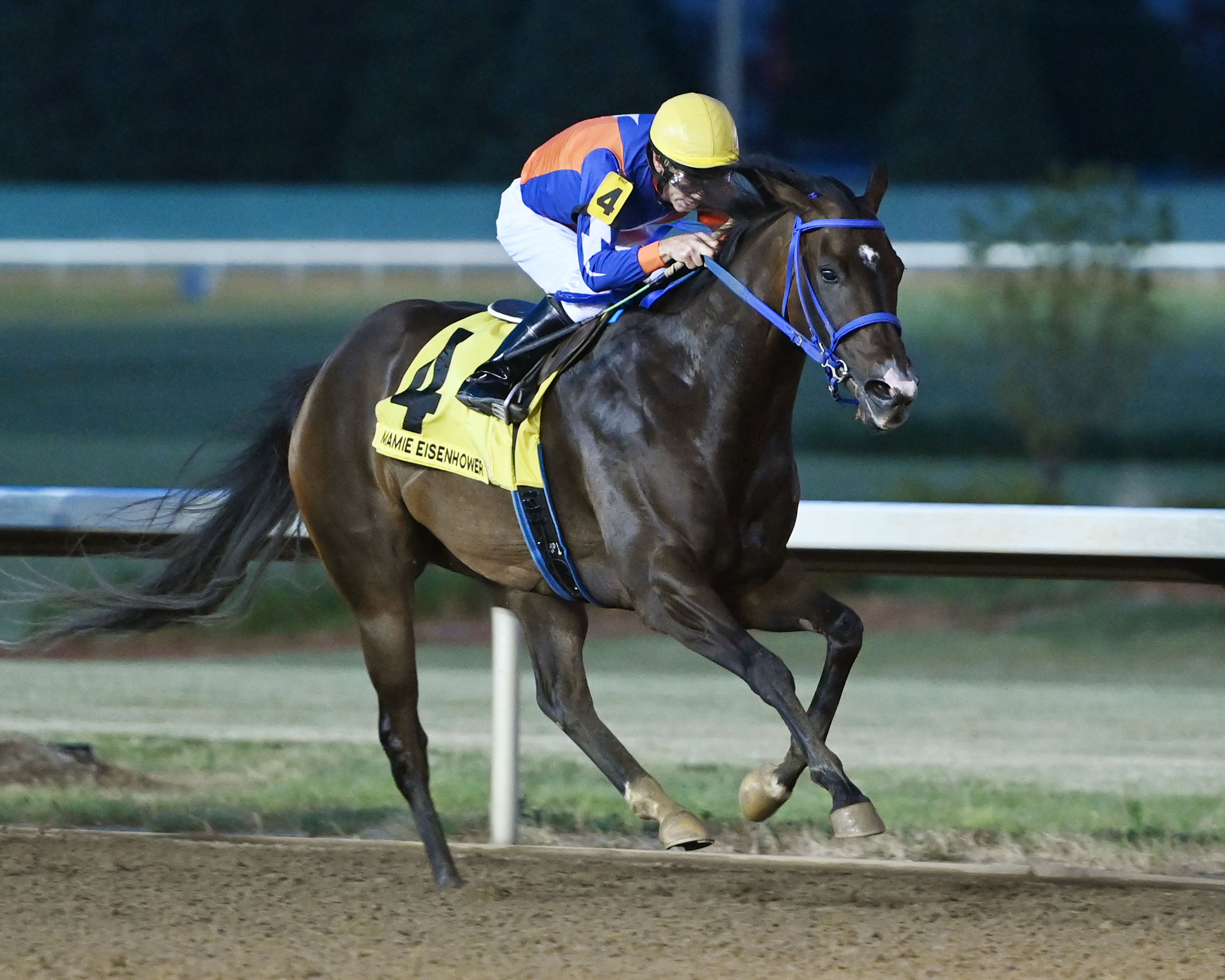 Snapy Gal wins Mamie Eisenhower 6-24-2022