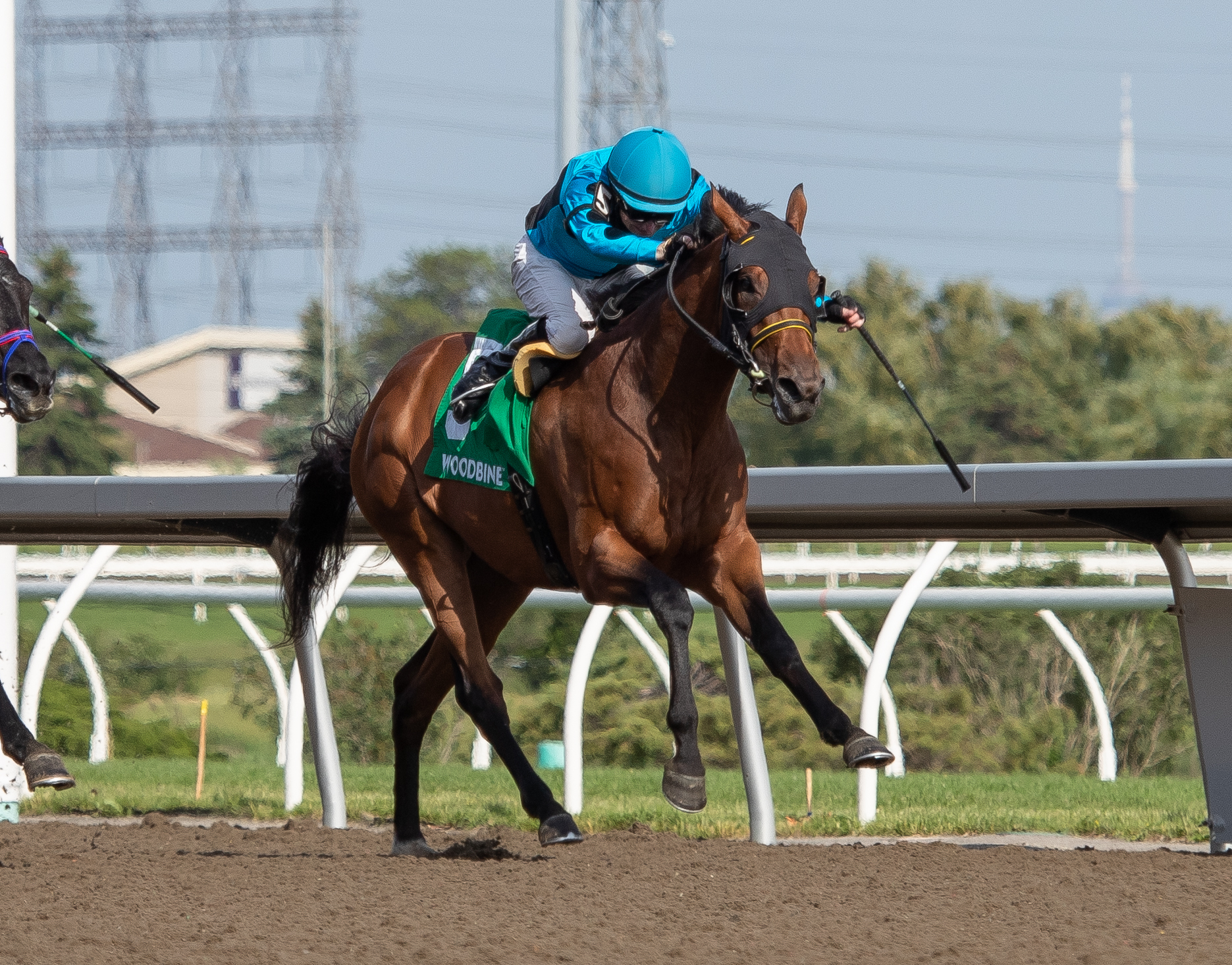 The Minkster wins the Queenston at Woodbine on June 12 2022