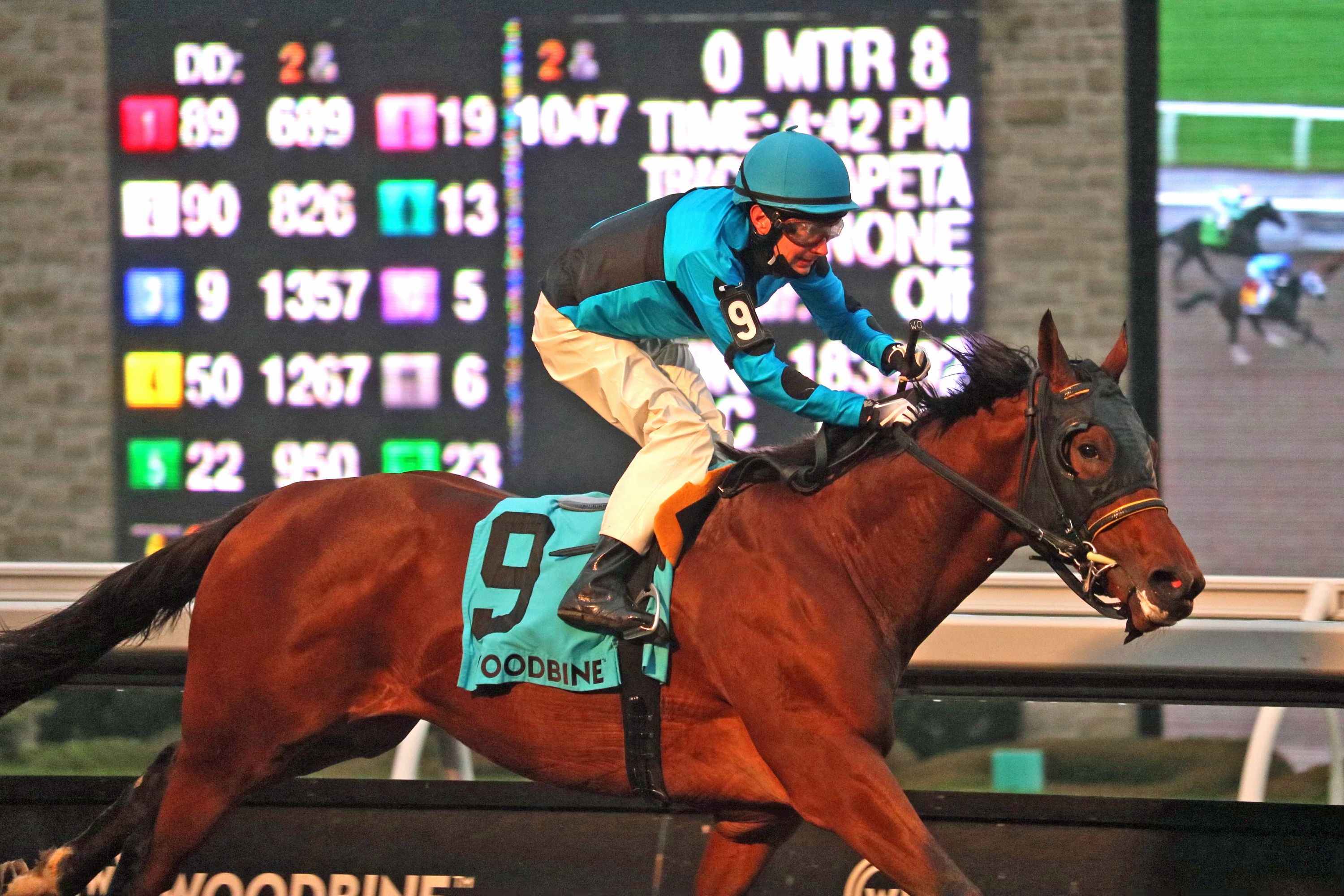 The Minkster - Coronation Futurity 2021