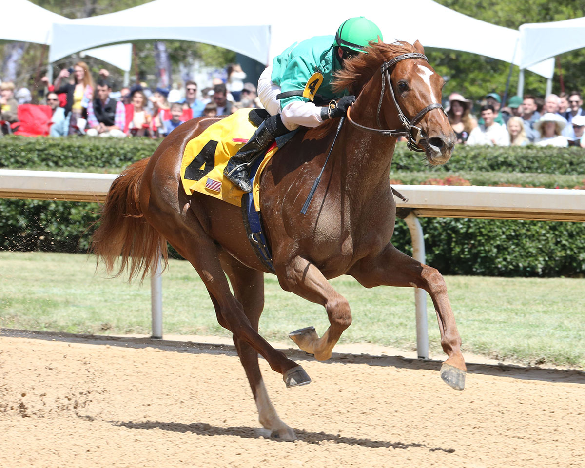 The Money Dance wins an April 14 maiden race