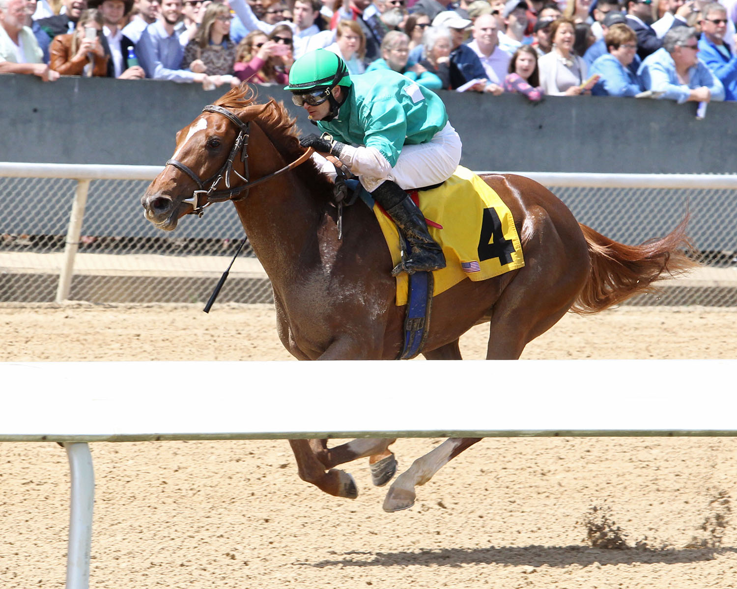 The Money Dance wins an April 14 maiden race