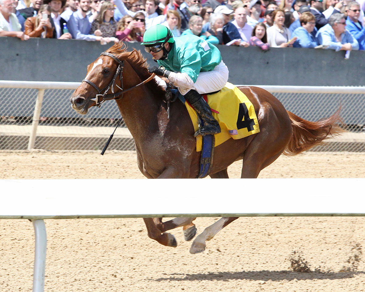 The Money Dance wins an April 14 maiden race