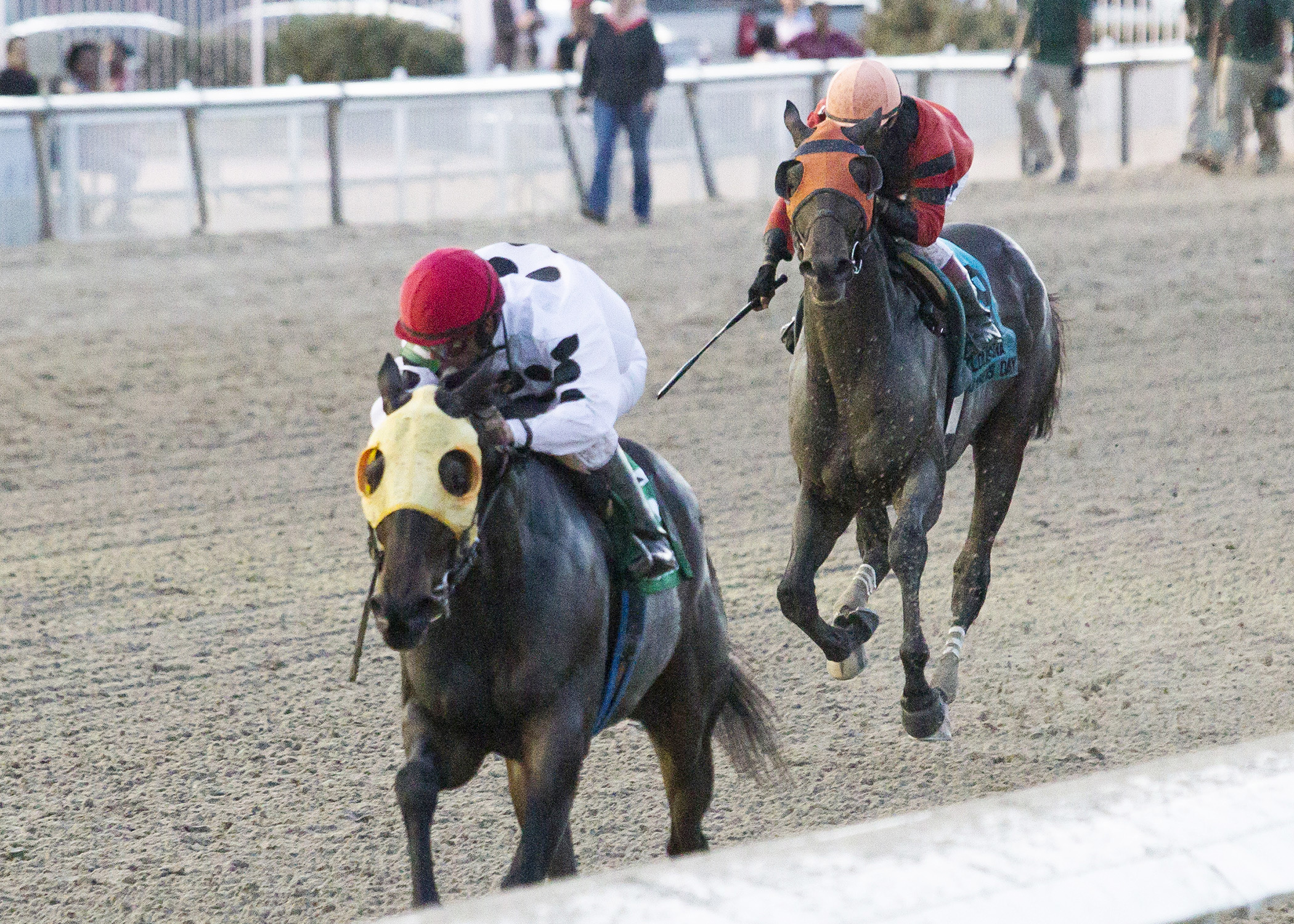 The Pickett Factor wins the Louisiana Champions Day Classic