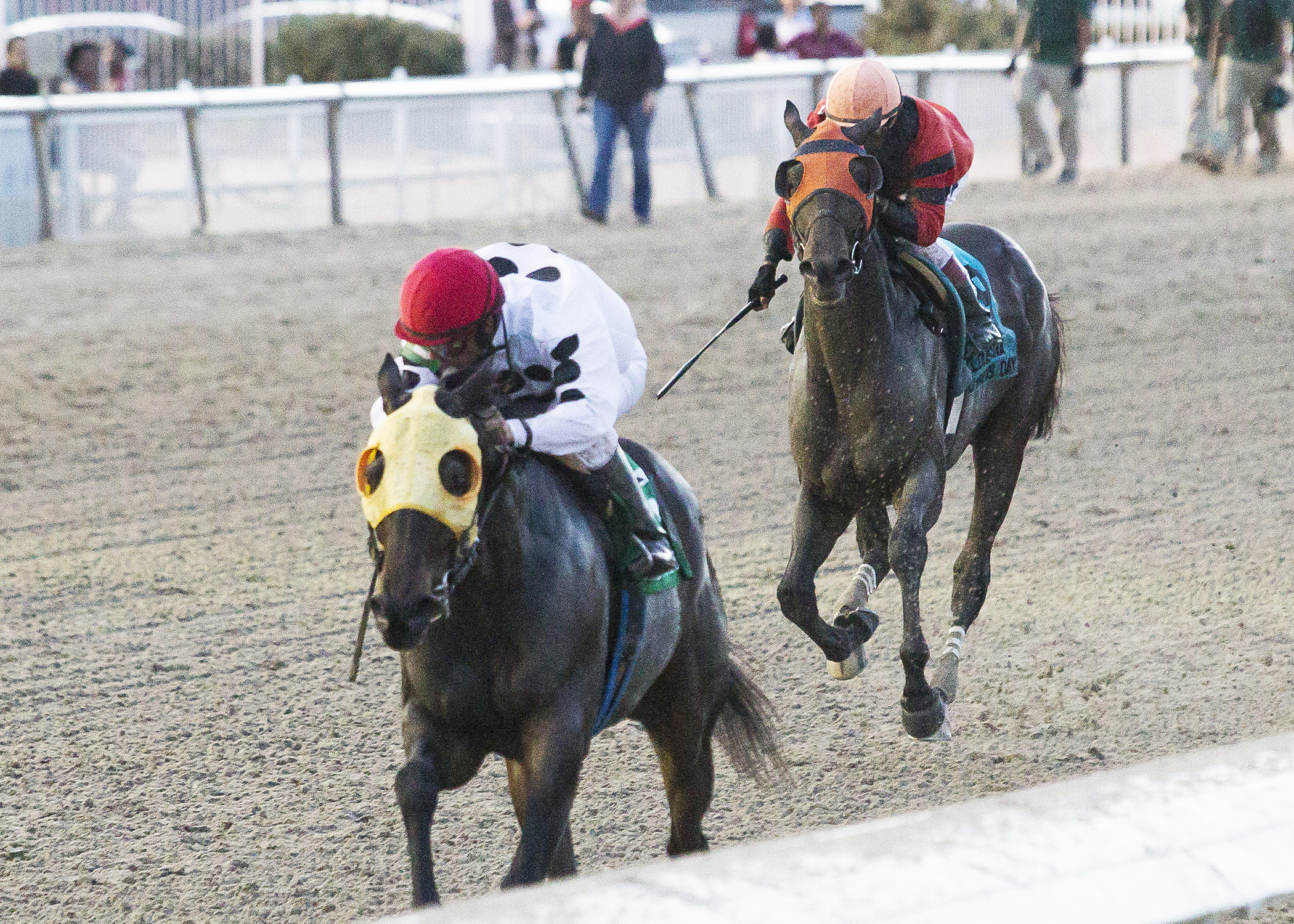 The Pickett Factor wins the Louisiana Champions Day Classic