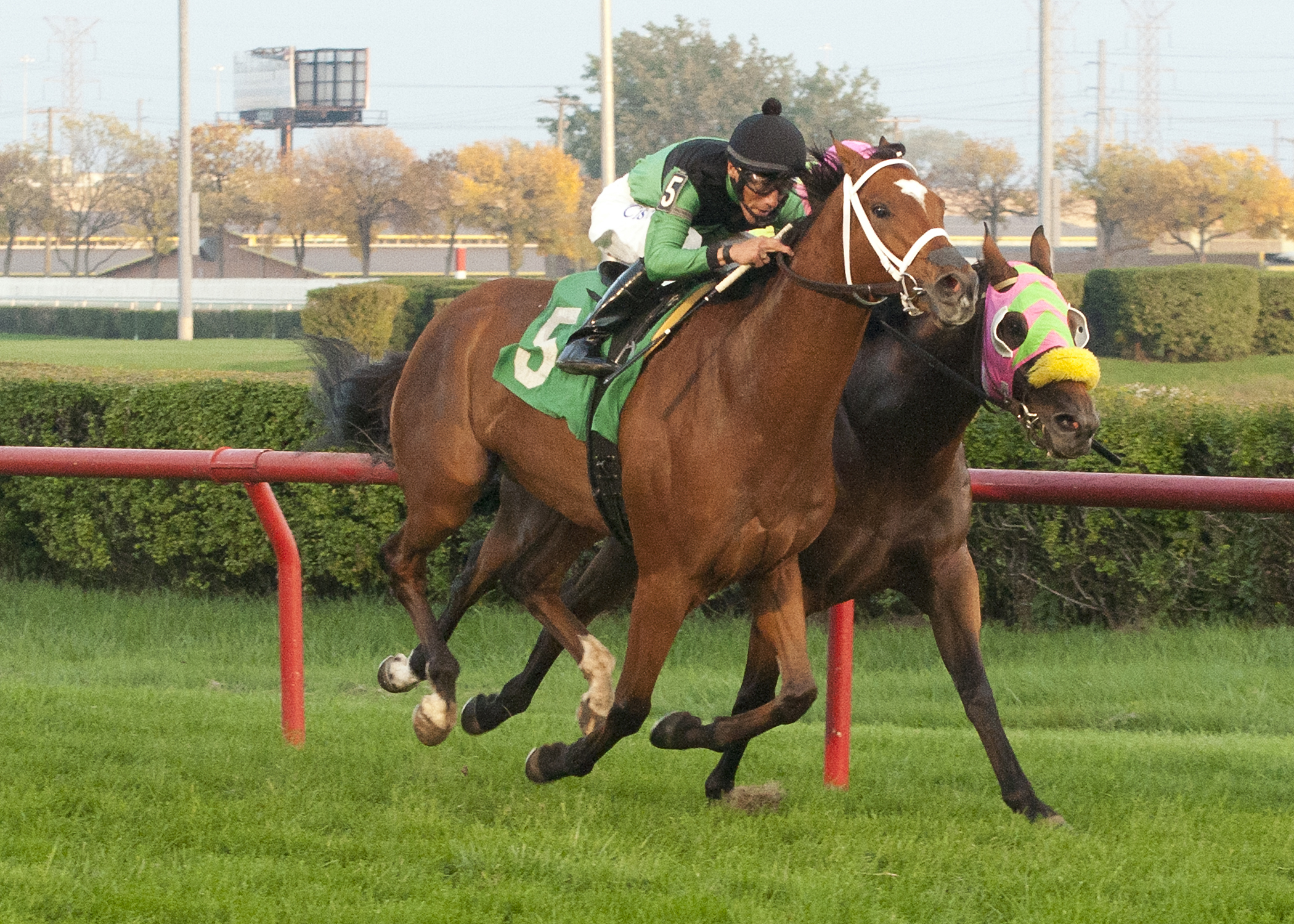 The Pizza Man wins the Robert F. Carey Memorial