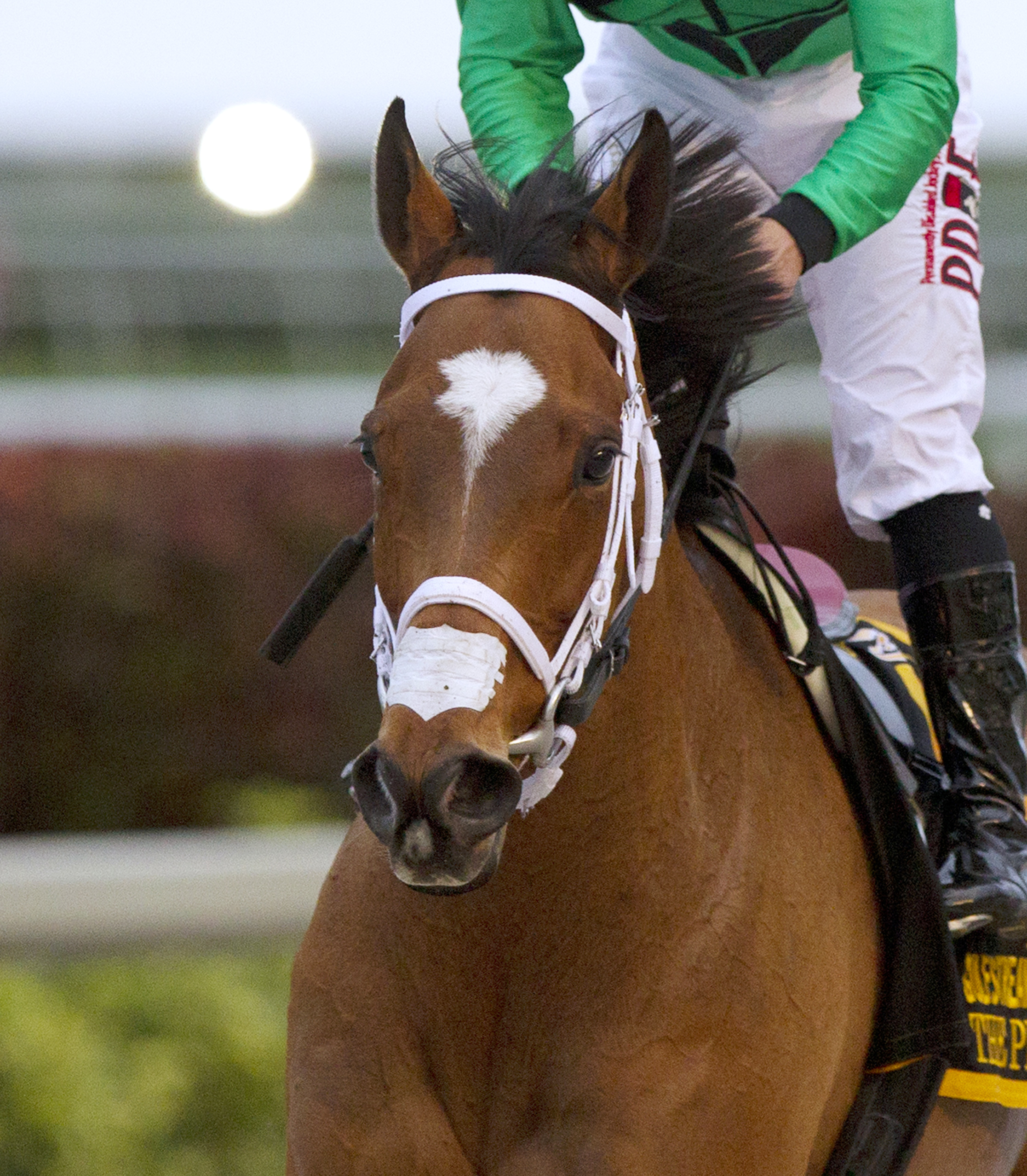 The Pizza Man at the Gulfstream Park Turf Handicap