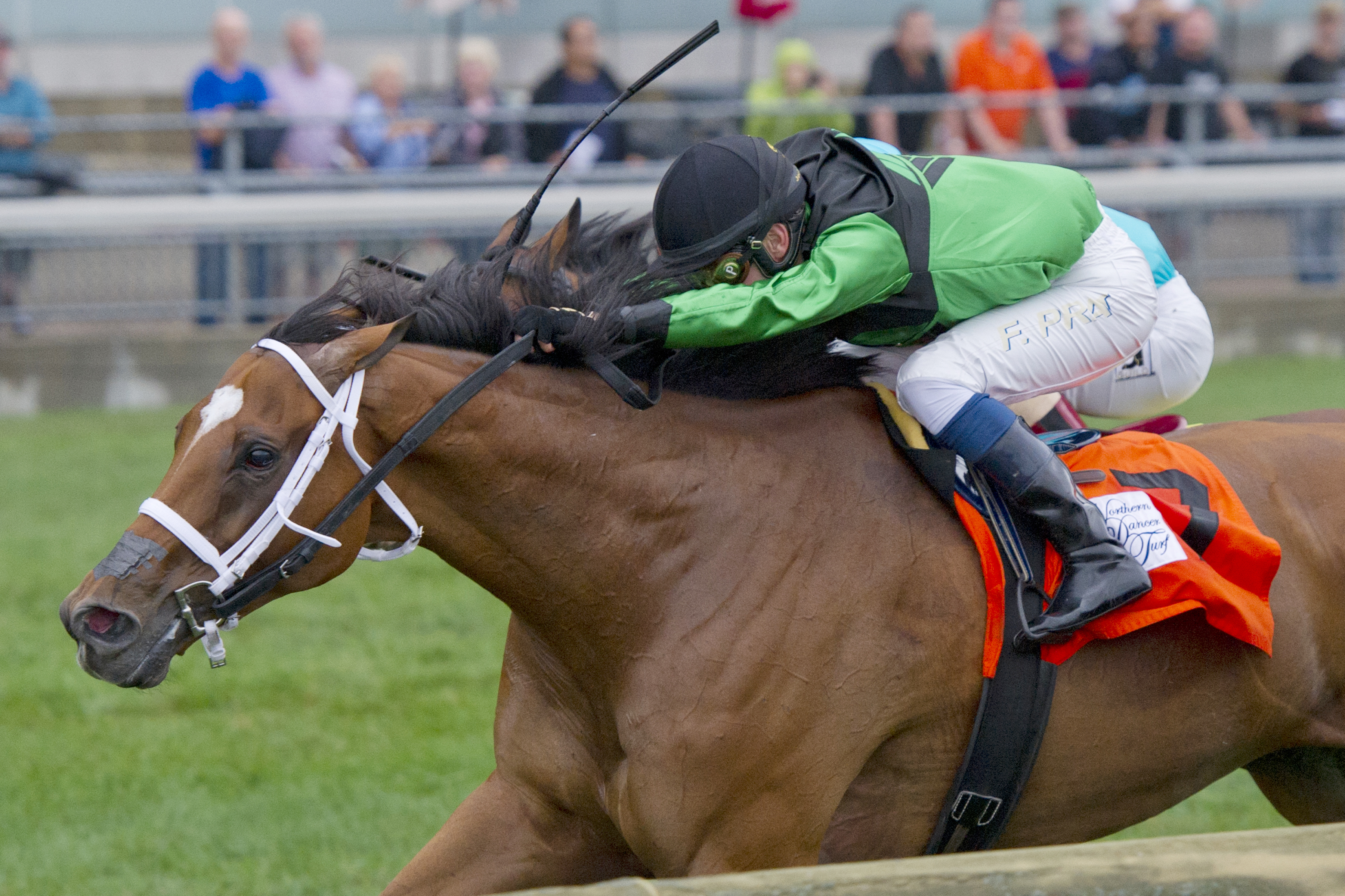 The Pizza Man wins the Northern Dancer