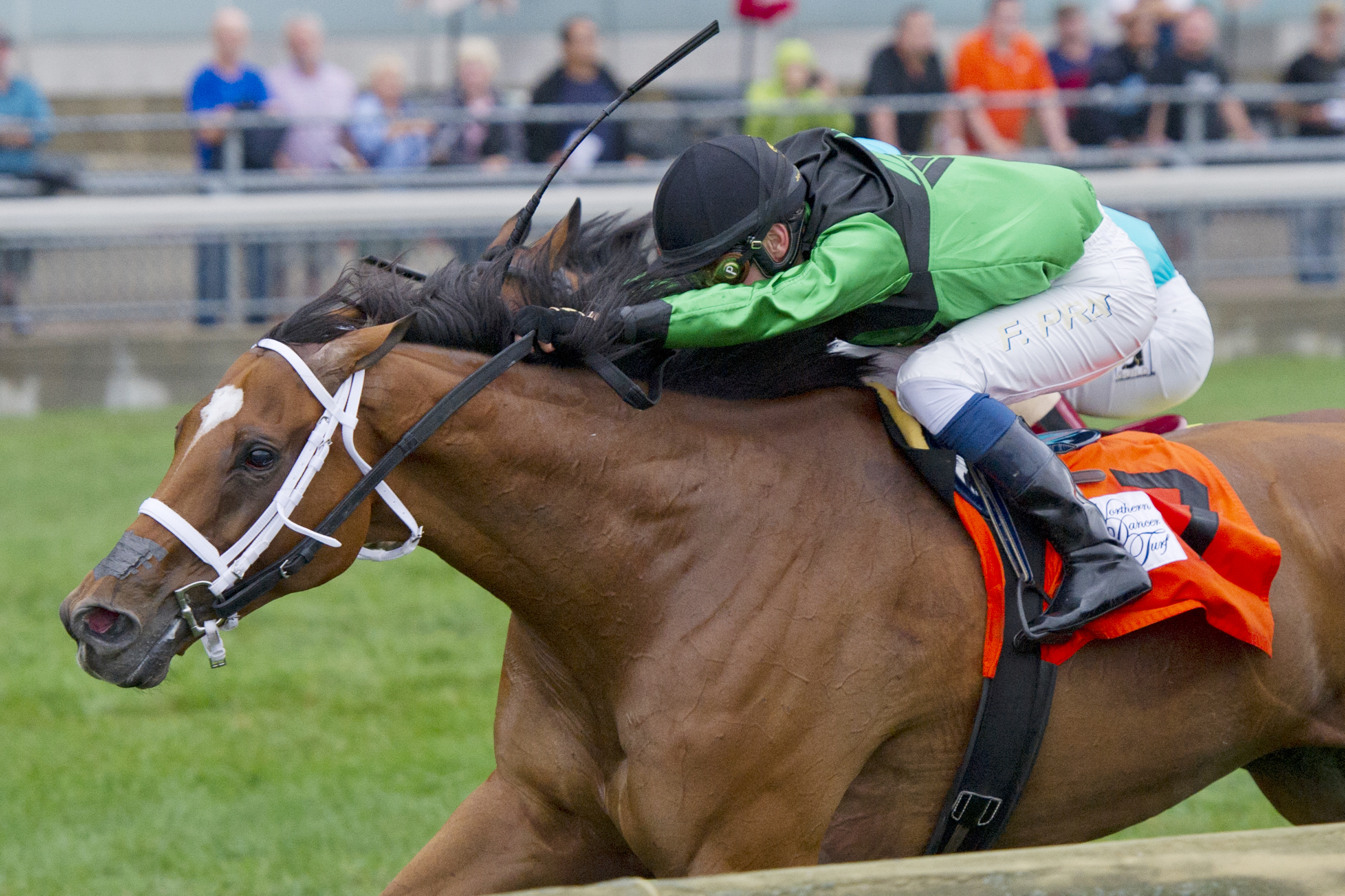 The Pizza Man wins the 2016 Northern Dancer