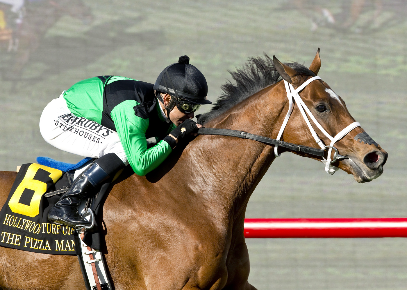 The Pizza Man wins the Hollywood Turf Cup