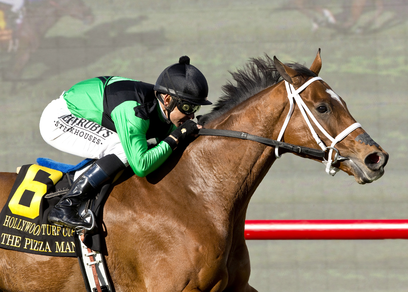 The Pizza Man wins the Hollywood Turf Cup