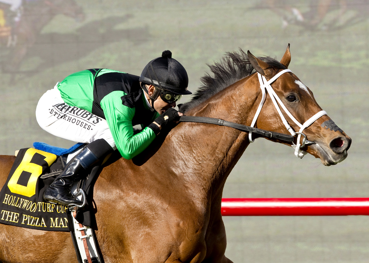 The Pizza Man wins the Hollywood Turf Cup