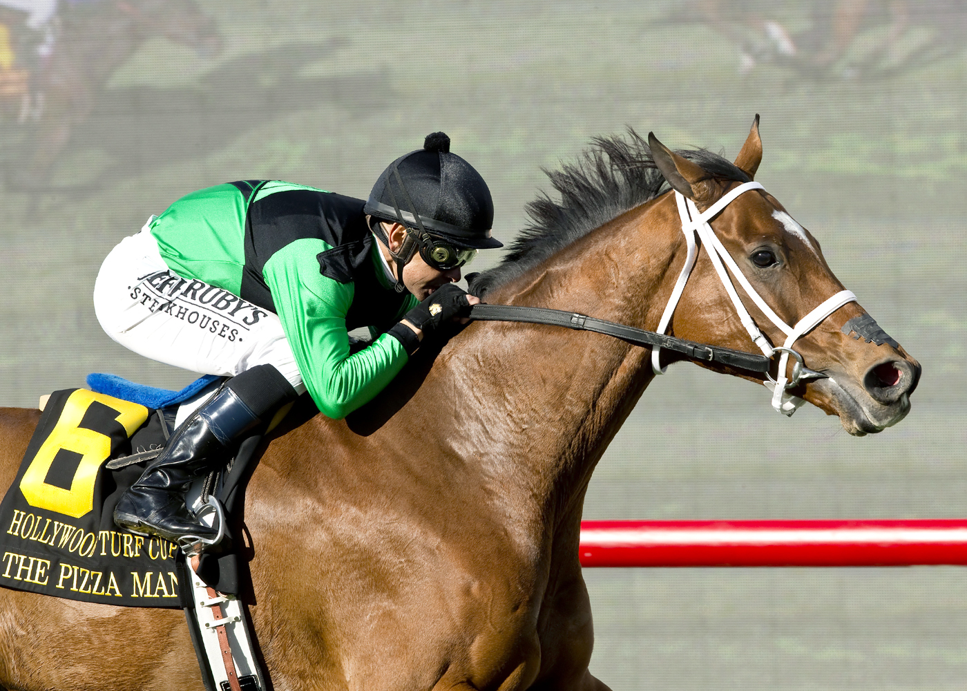 The Pizza Man wins the 2015 Hollywood Turf Cup