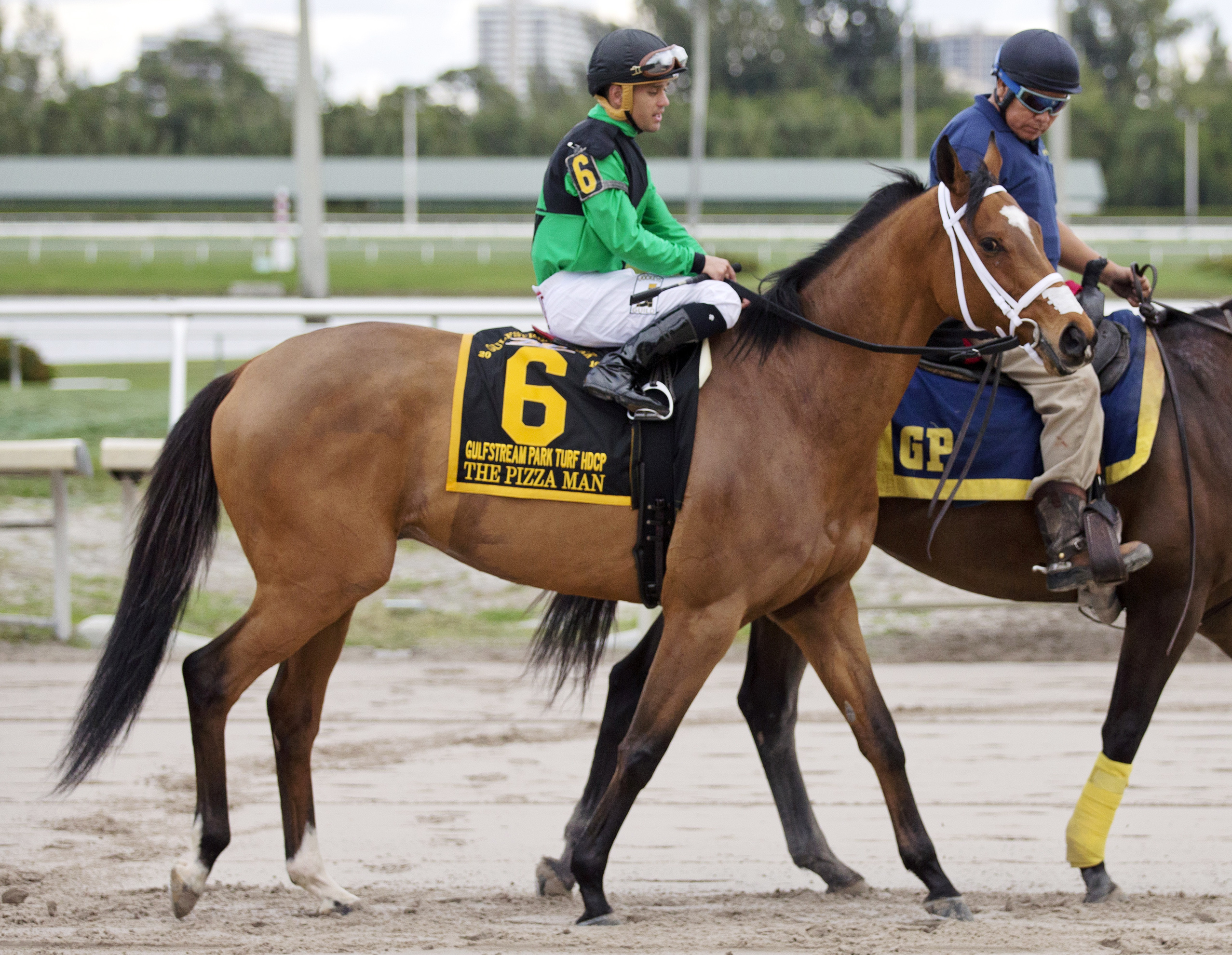 The Pizza Man at the Gulfstream Park Turf Handicap