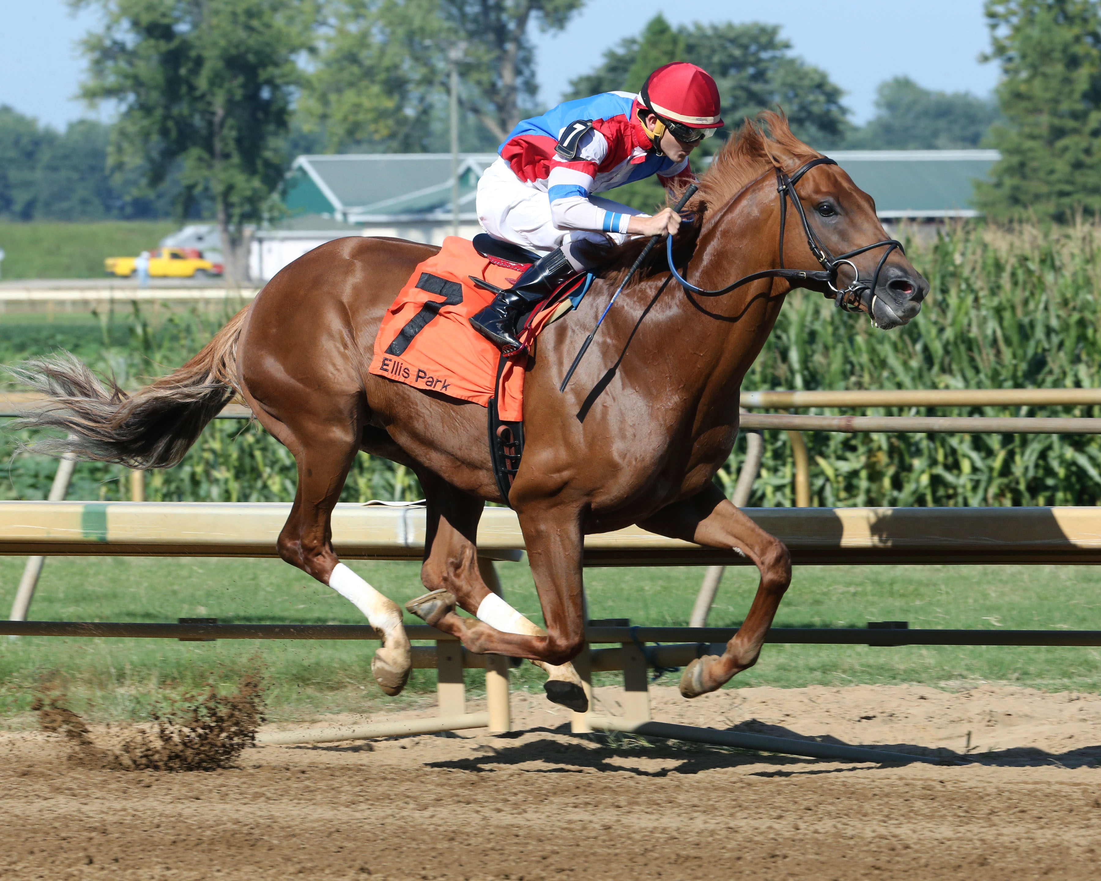 The Player wins an Aug. 27, 2017 allowance race