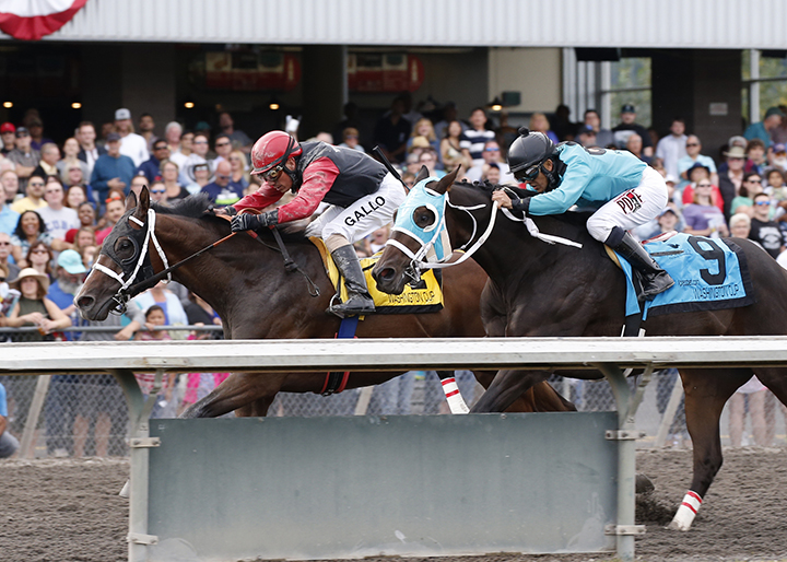 The Press wins the 2016 Washington Cup 3-Year-Old Stakes