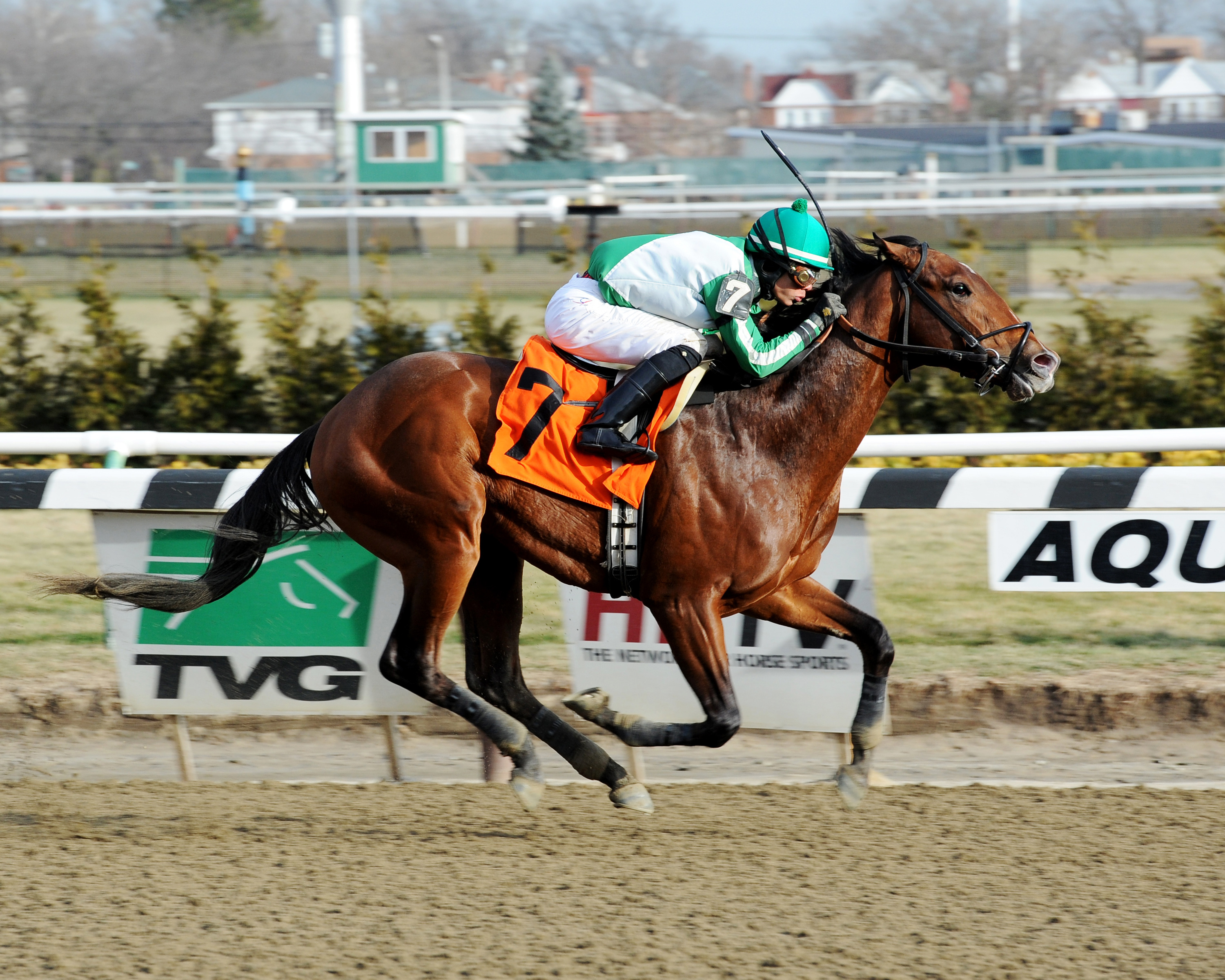 The Rhythmisright wins a maiden race