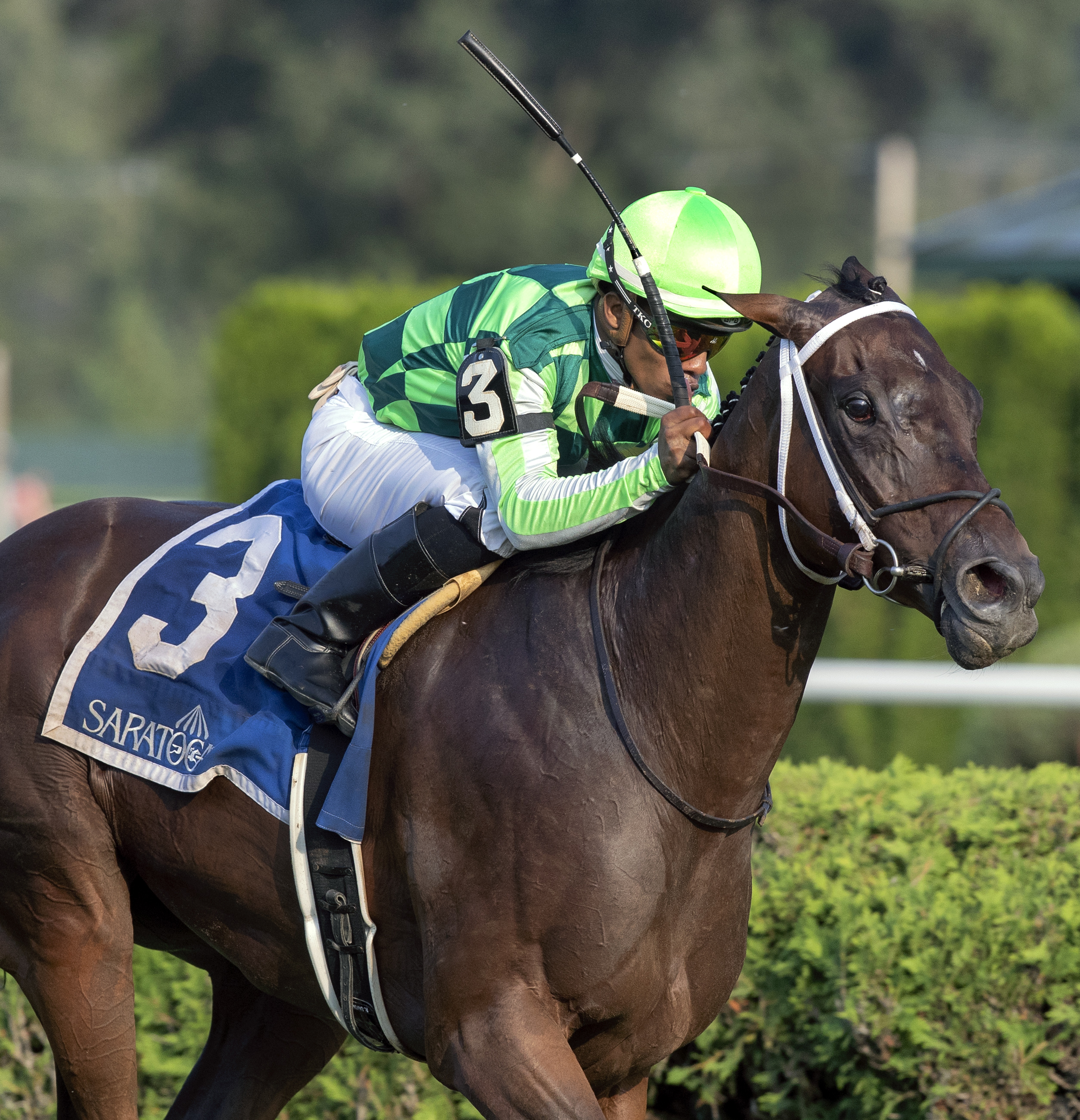 Chanteline wins 2018 Smart N Fancy