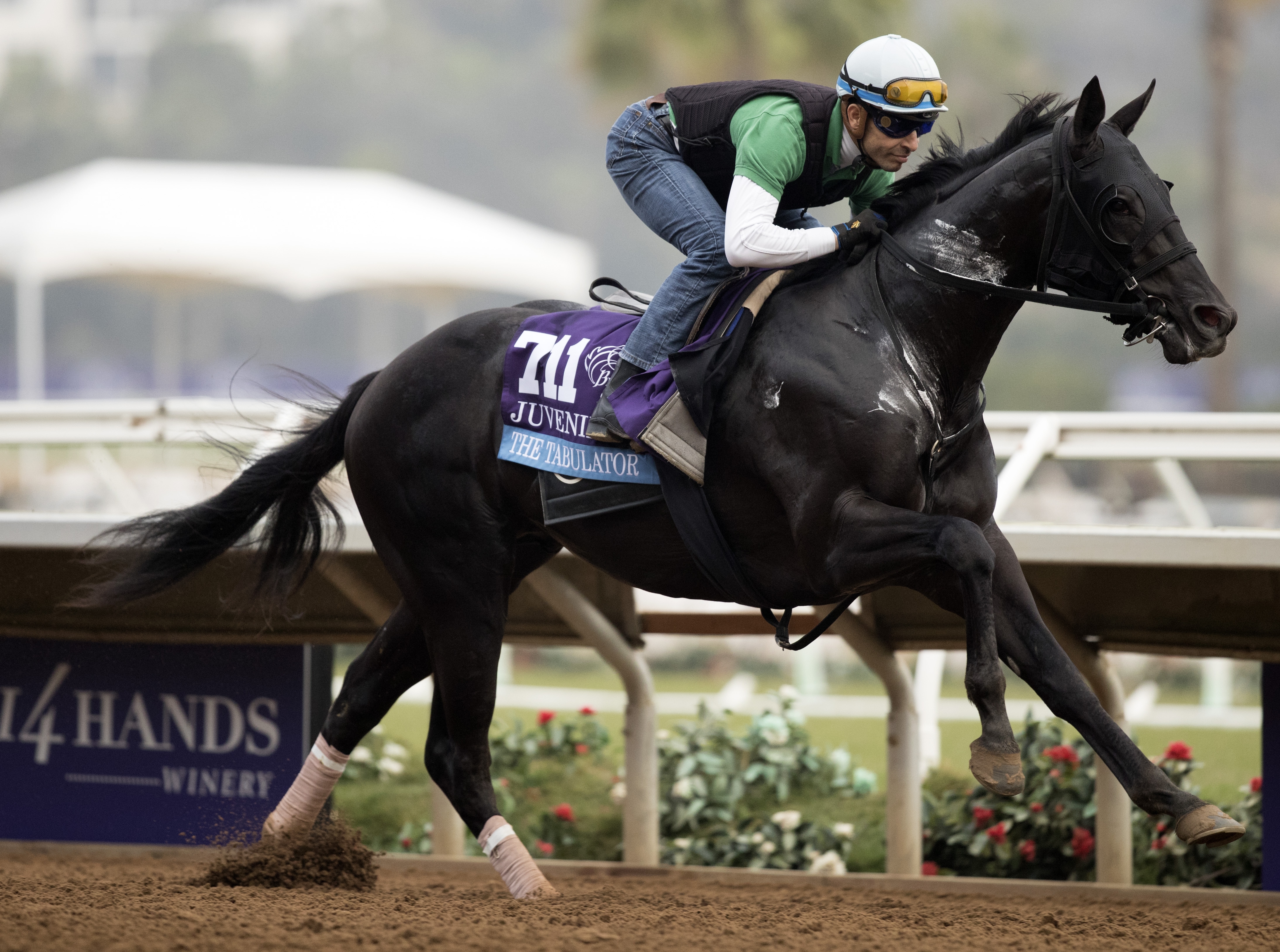 The Tabulator trains at Del Mar on 10.28.17