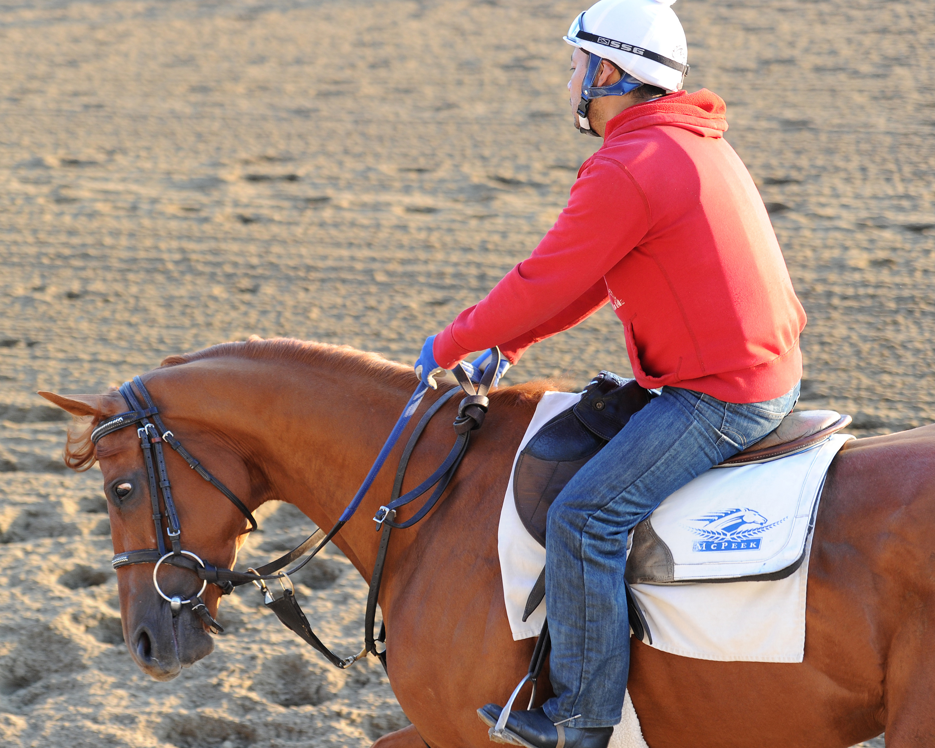 The Truth or Else at Belmont in May 2015
