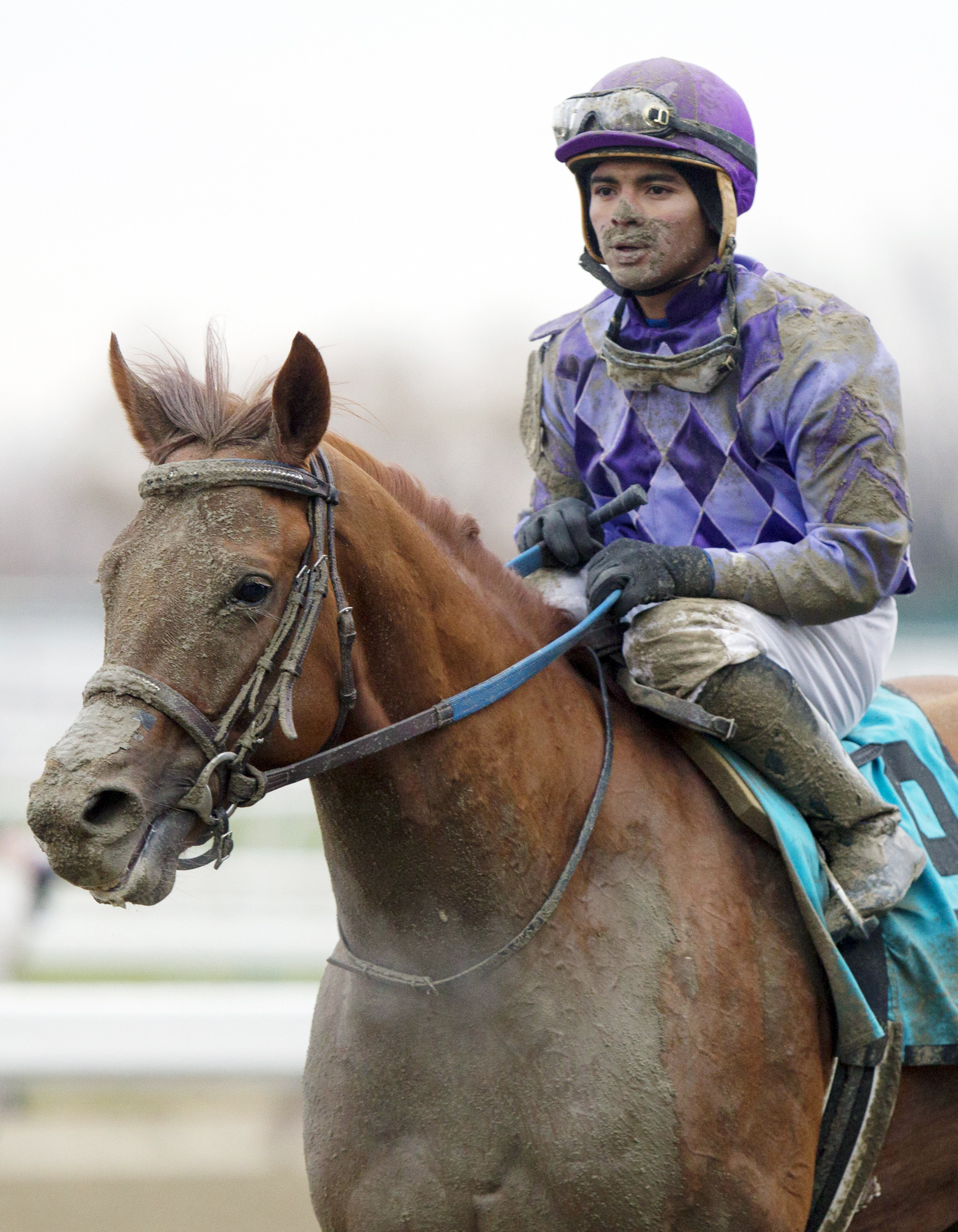 The Truth or Else after the Remsen Stakes