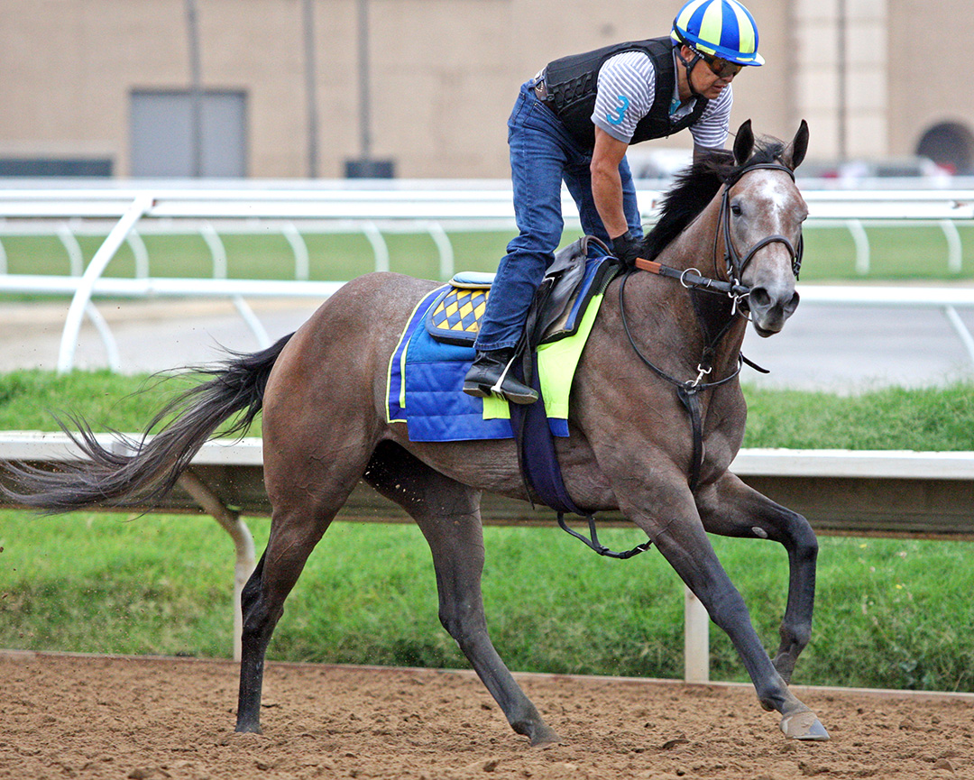 The Aurelia Factor at Del Mar in August 2018