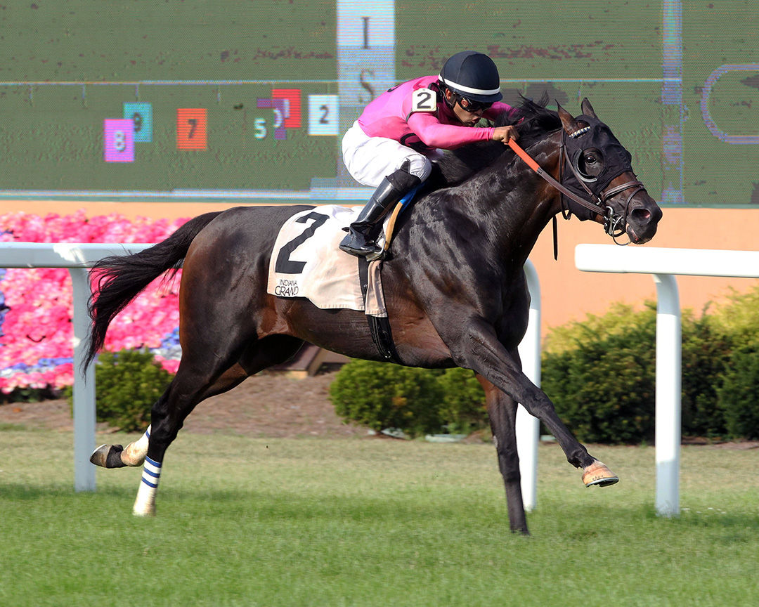 The Black Album wins the 2020 Jonathan B. Schuster Memorial at Indiana Grand