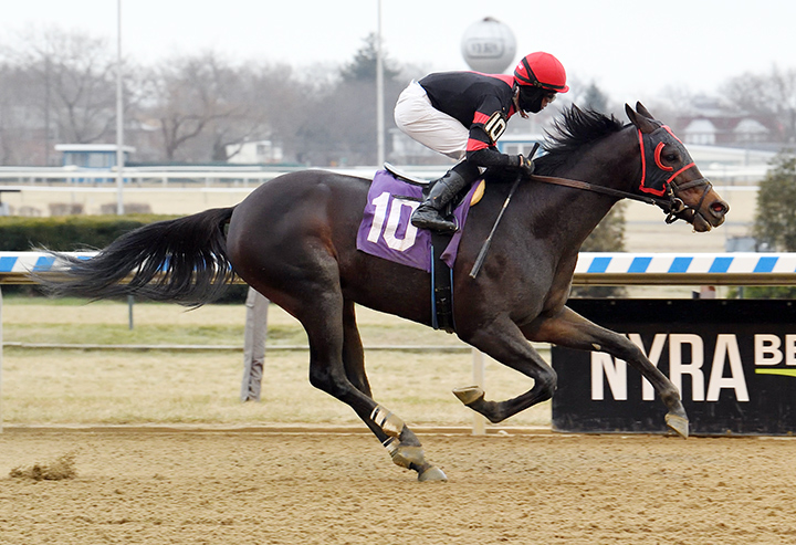 The Caretaker wins a Dec. 29 allowance at Aqueduct Racetrack