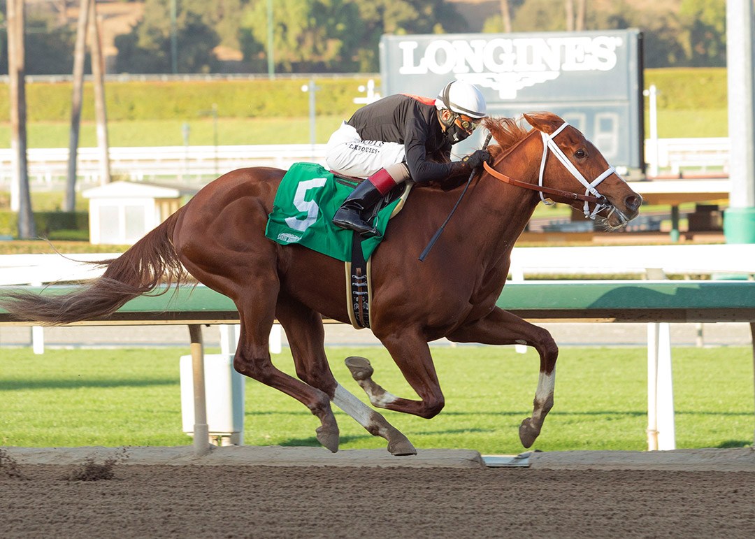 The Chosen Vron wins a Dec. 27 maiden race at Santa Anita