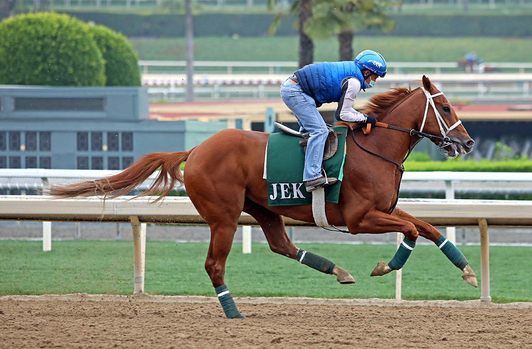 The Chosen Vron trains at Santa Anita Park on May 28