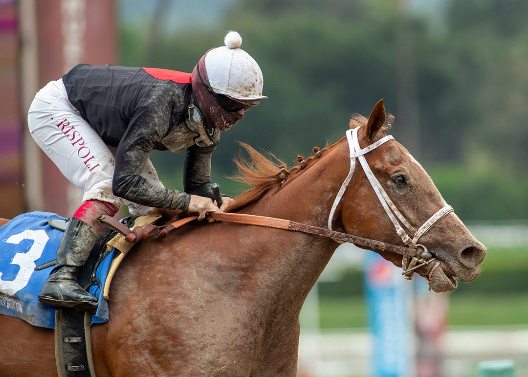 The Chosen Vron wins the 2021 Lazaro Barrera Stakes at Santa Anita